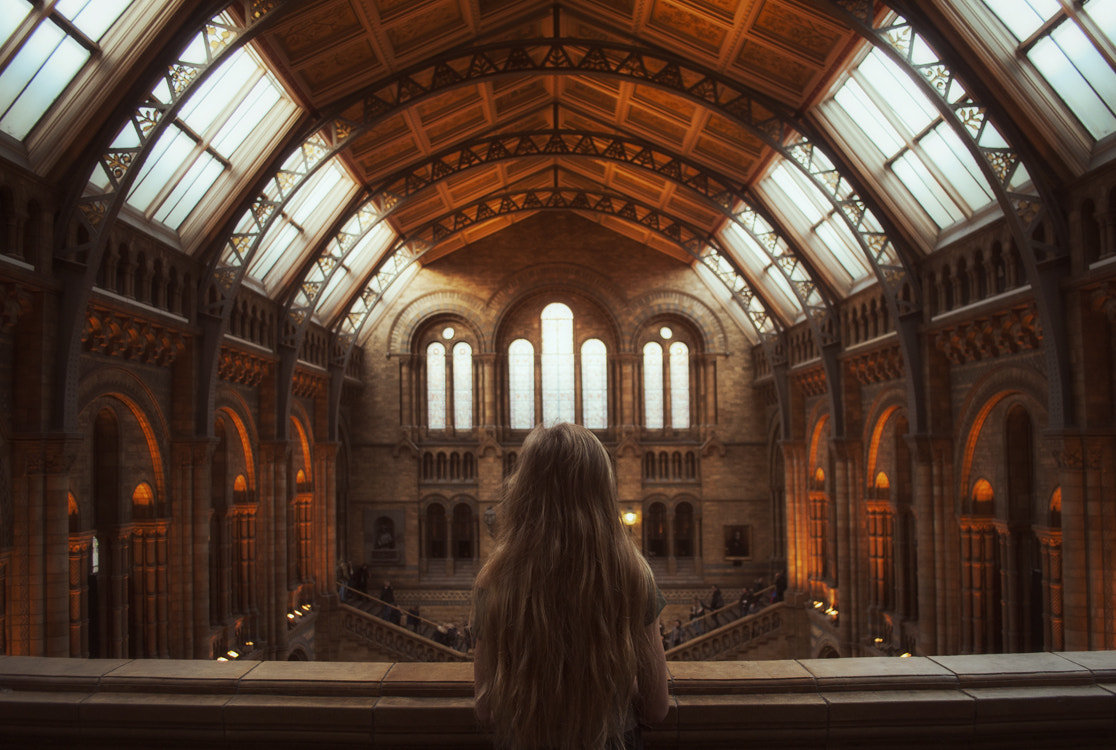 Nikon D300S sample photo. Natural history museum photography