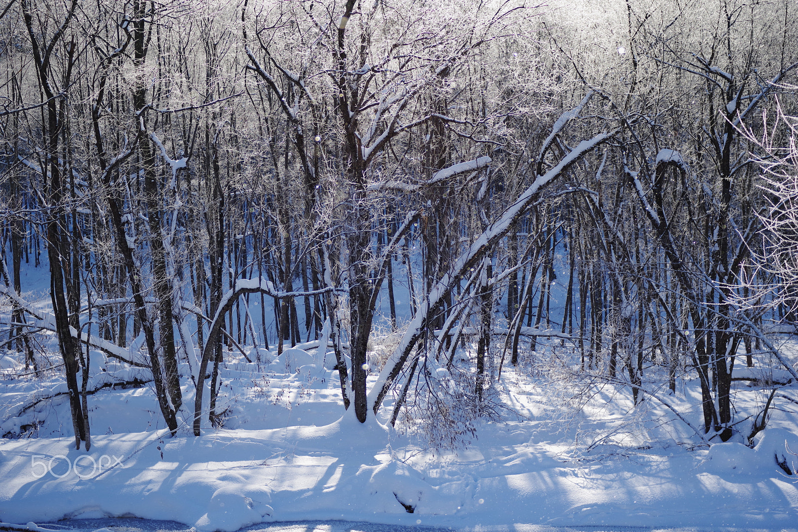 Pentax K-70 sample photo. Winter morning in hokkaido photography