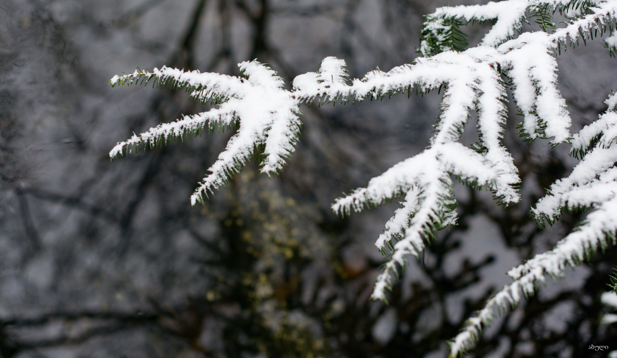 Nikon D5200 + Nikon AF-S Nikkor 50mm F1.4G sample photo. Life is beautiful... photography