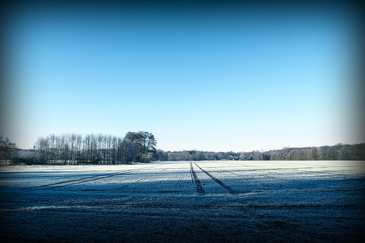 Olympus OM-D E-M5 II sample photo. A cold winter morning ... photography