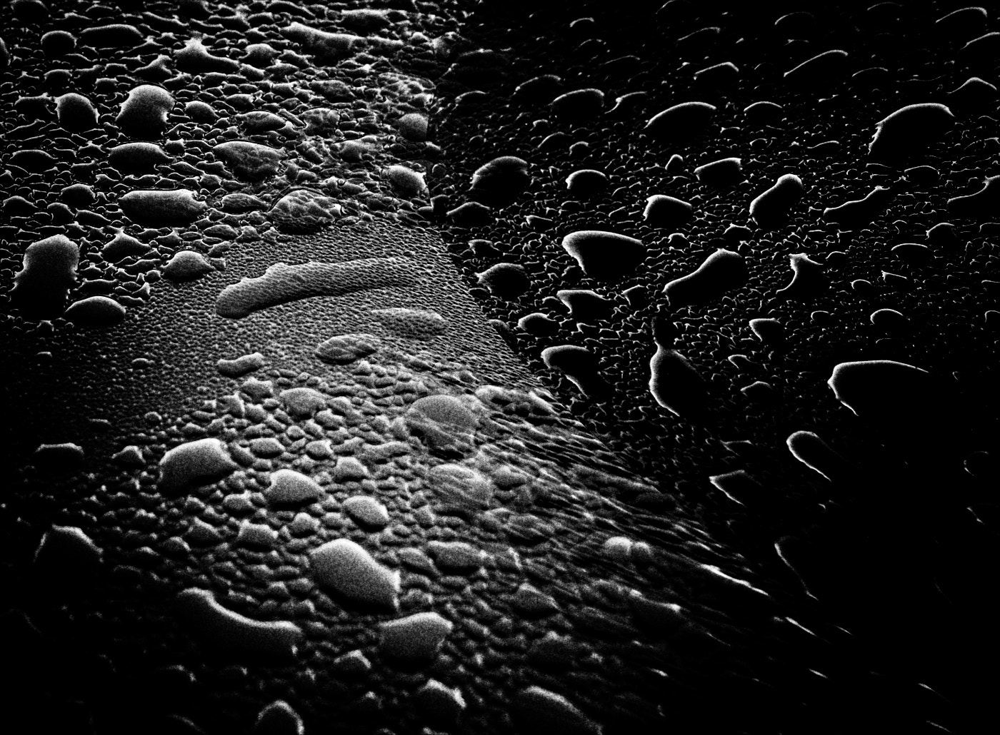 Olympus PEN-F + Sigma 30mm F2.8 DN Art sample photo. Raindrops into the abyss photography