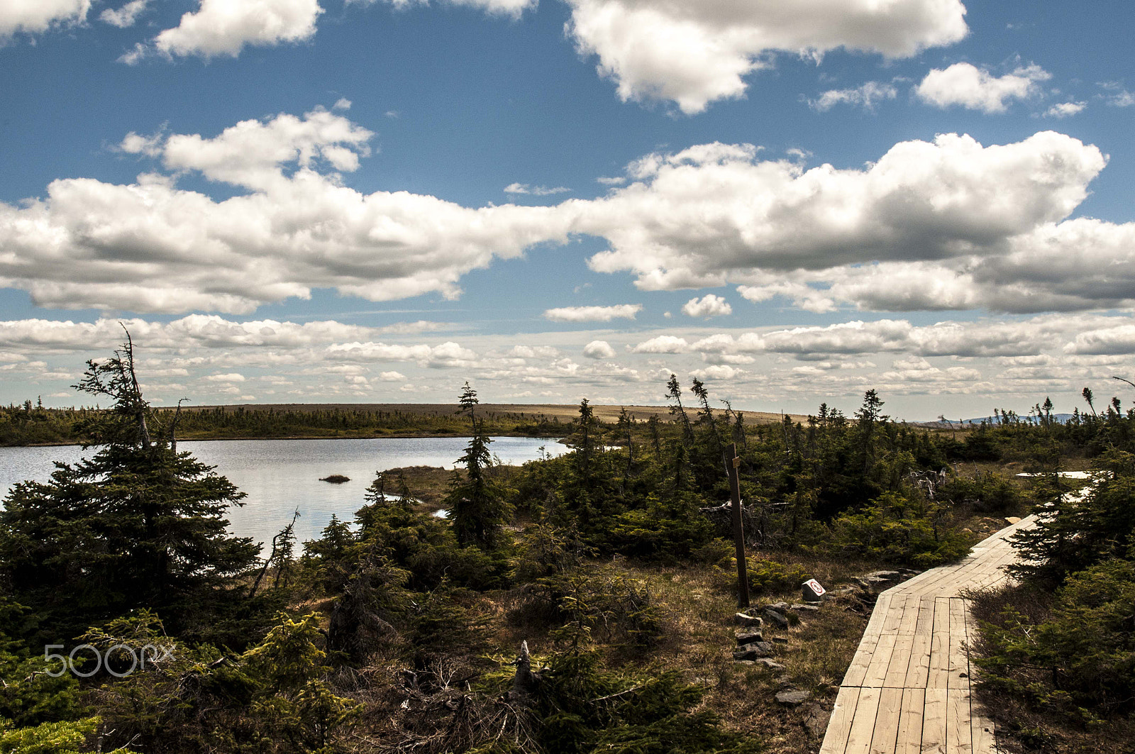 AF Zoom-Nikkor 24-120mm f/3.5-5.6D IF sample photo. Mont-albert photography