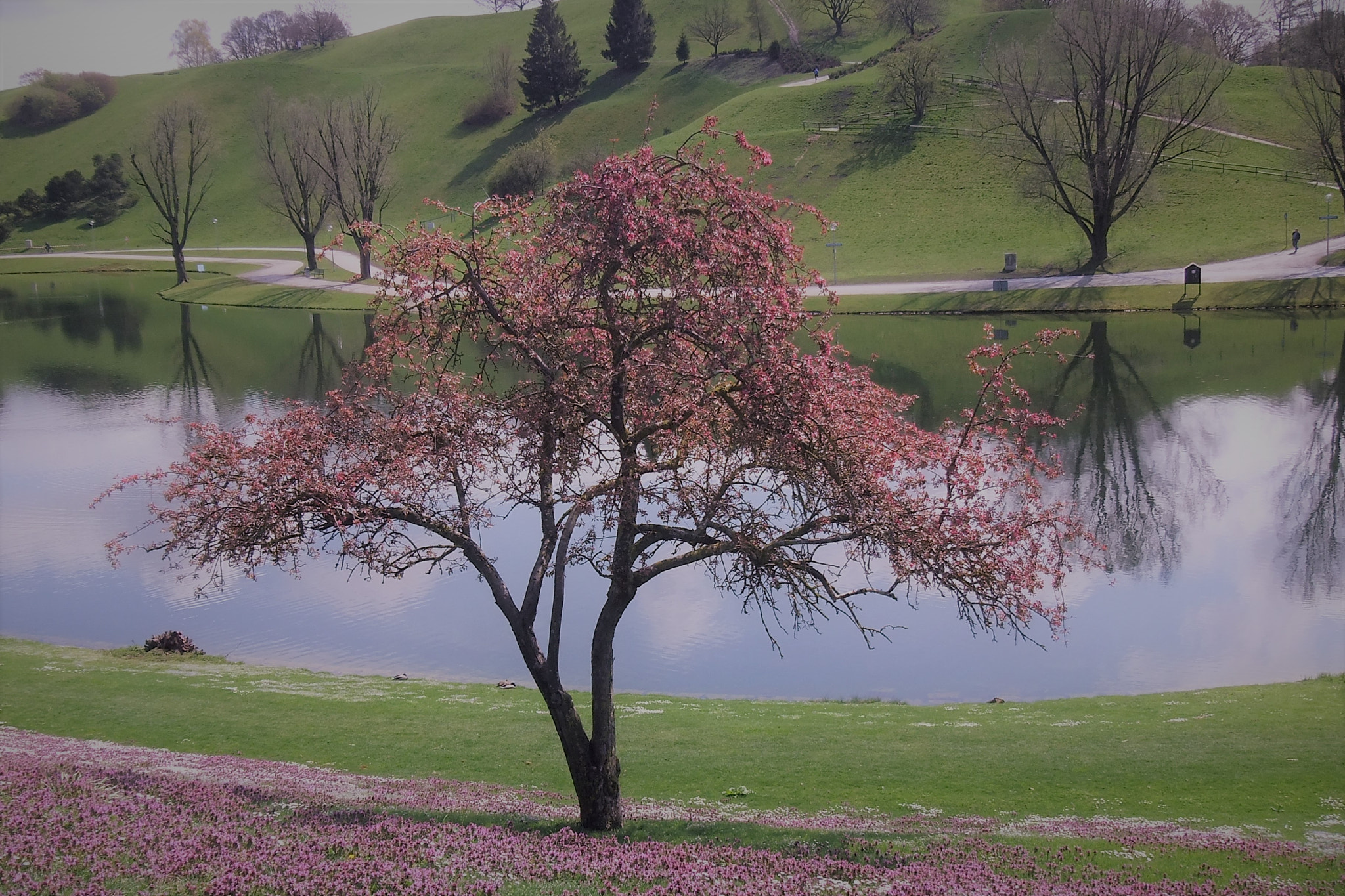 Fujifilm FinePix Real 3D W3 sample photo. Olympiapark munich photography