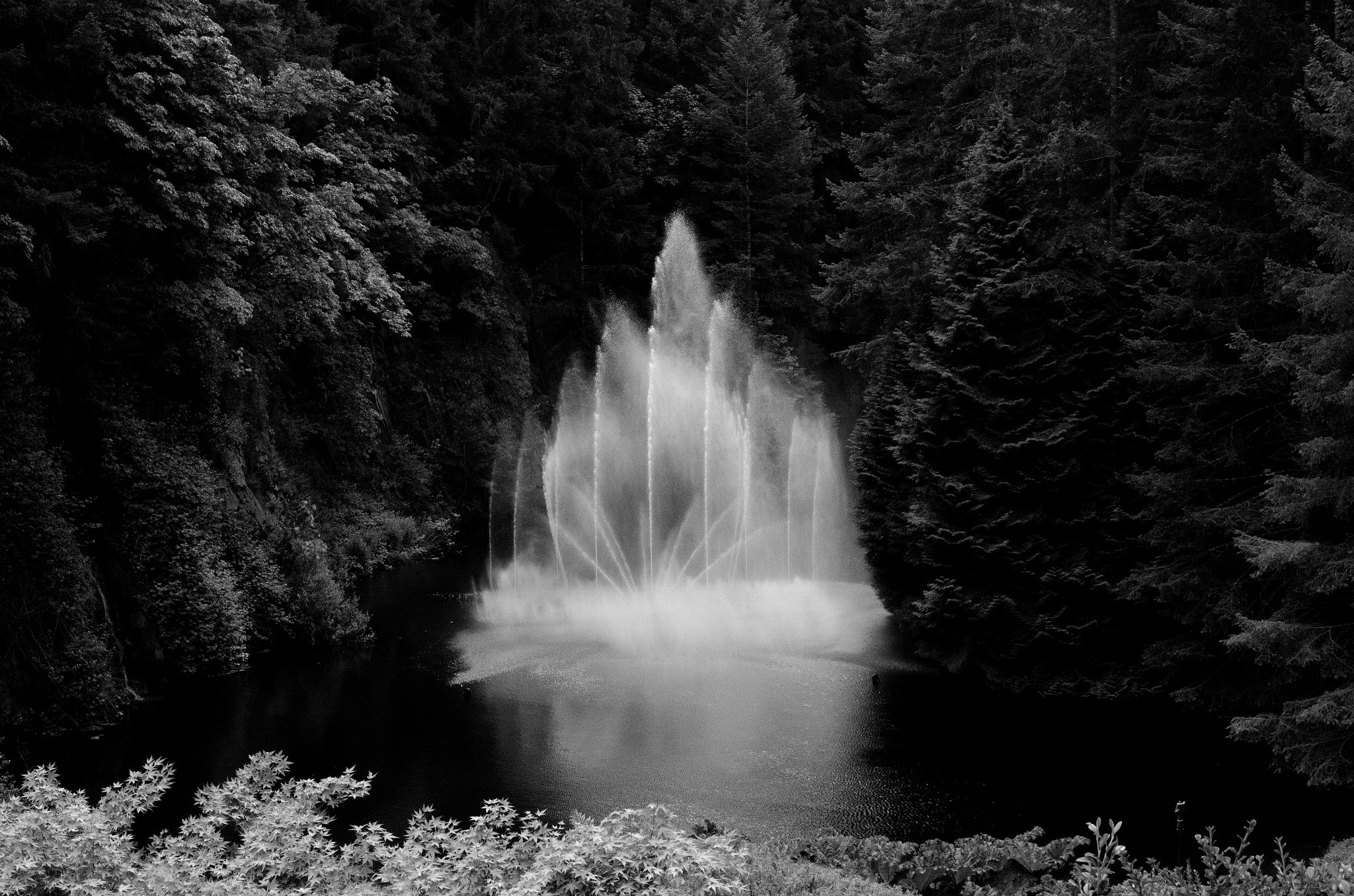 Nikon D7000 sample photo. Fountain bw photography