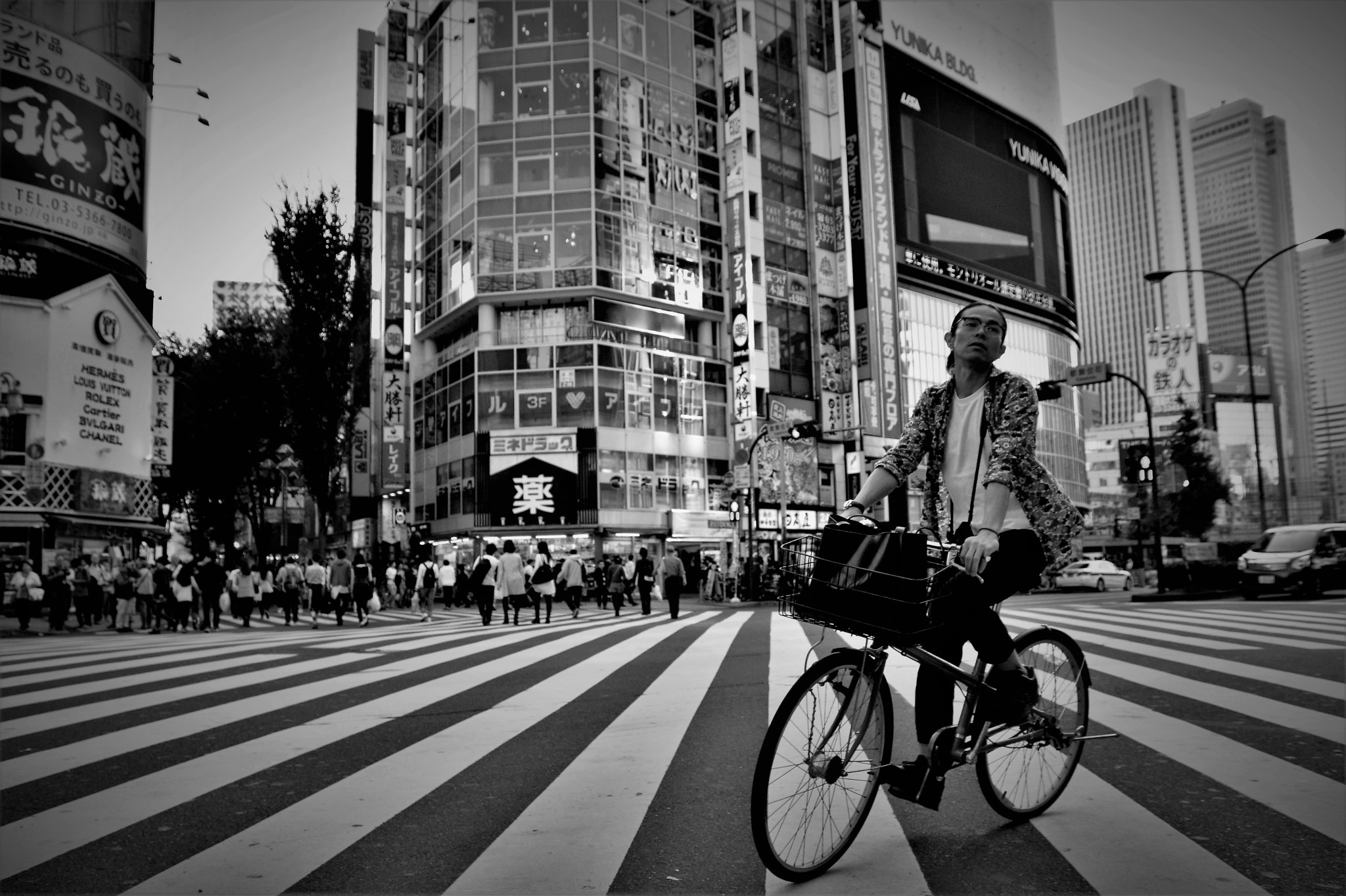 Nikon D5300 + Sigma 17-70mm F2.8-4 DC Macro OS HSM | C sample photo. Crosswalk, tokyo street photography