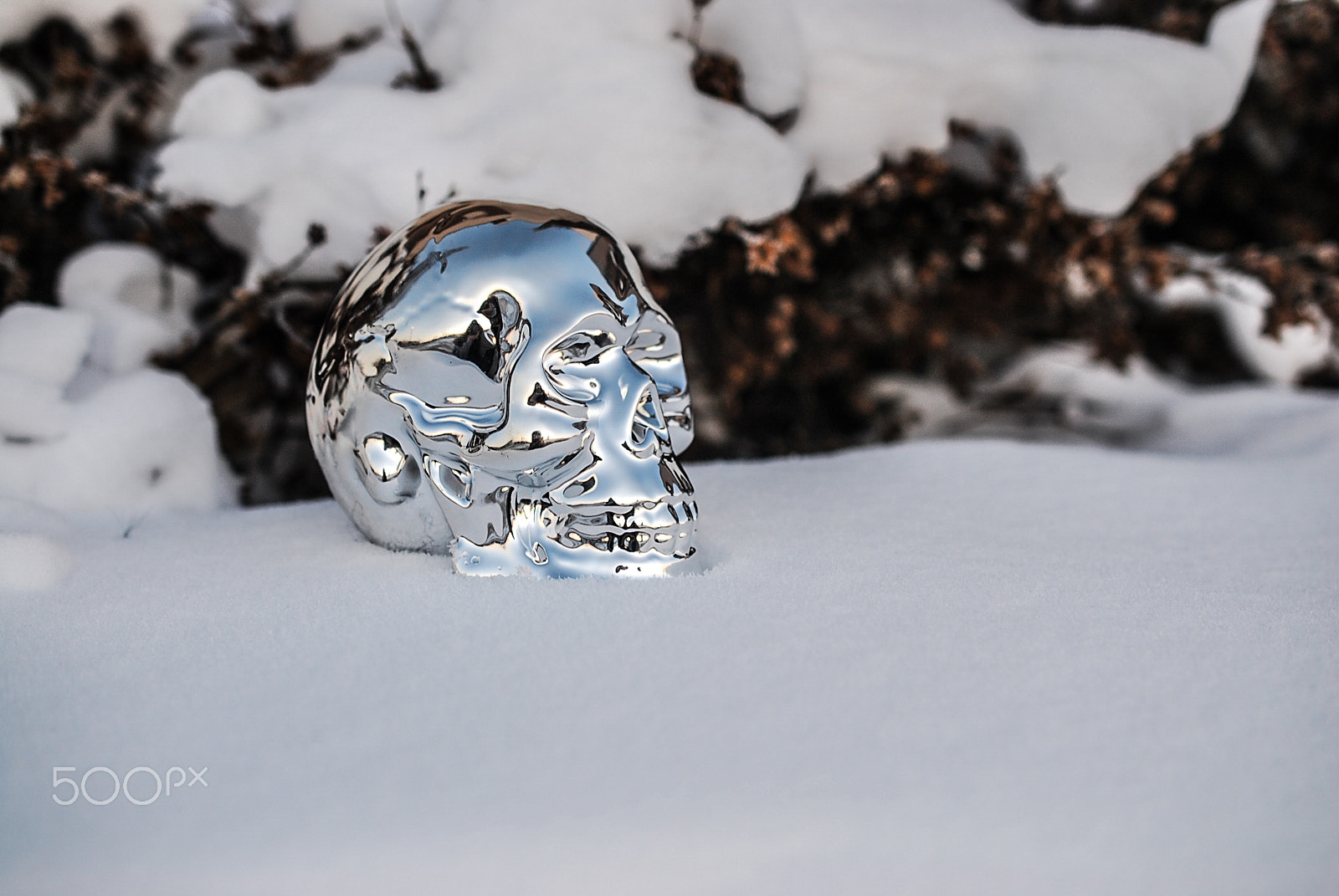Nikon AF-S DX Micro Nikkor 40mm F2.8 sample photo. Skull-bones photography