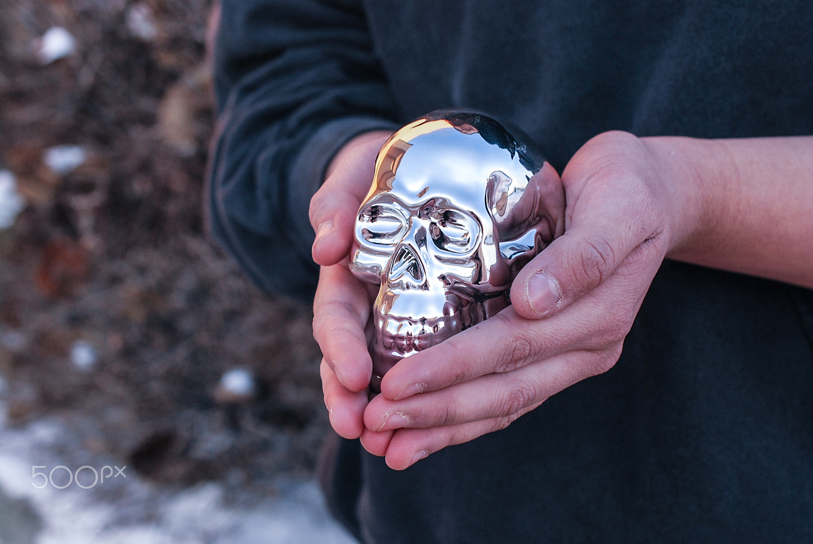 Nikon AF-S DX Micro Nikkor 40mm F2.8 sample photo. Skull-bones photography