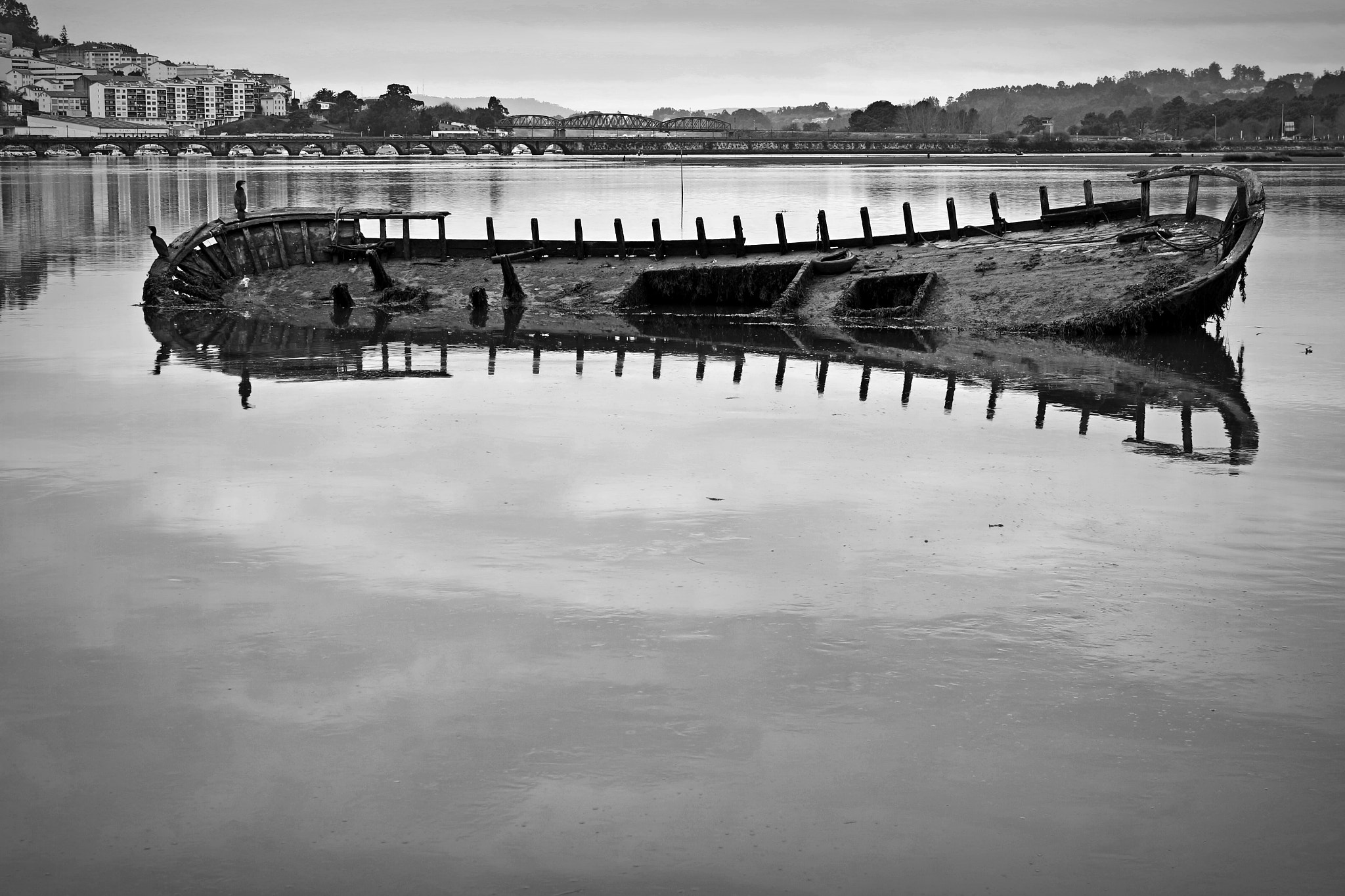 Canon EOS 100D (EOS Rebel SL1 / EOS Kiss X7) + Canon EF 24-105mm F4L IS USM sample photo. Abandoned in river. photography