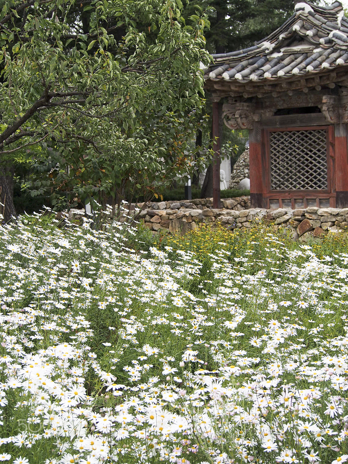 Olympus OM-D E-M5 sample photo. Traditional korean buildings photography