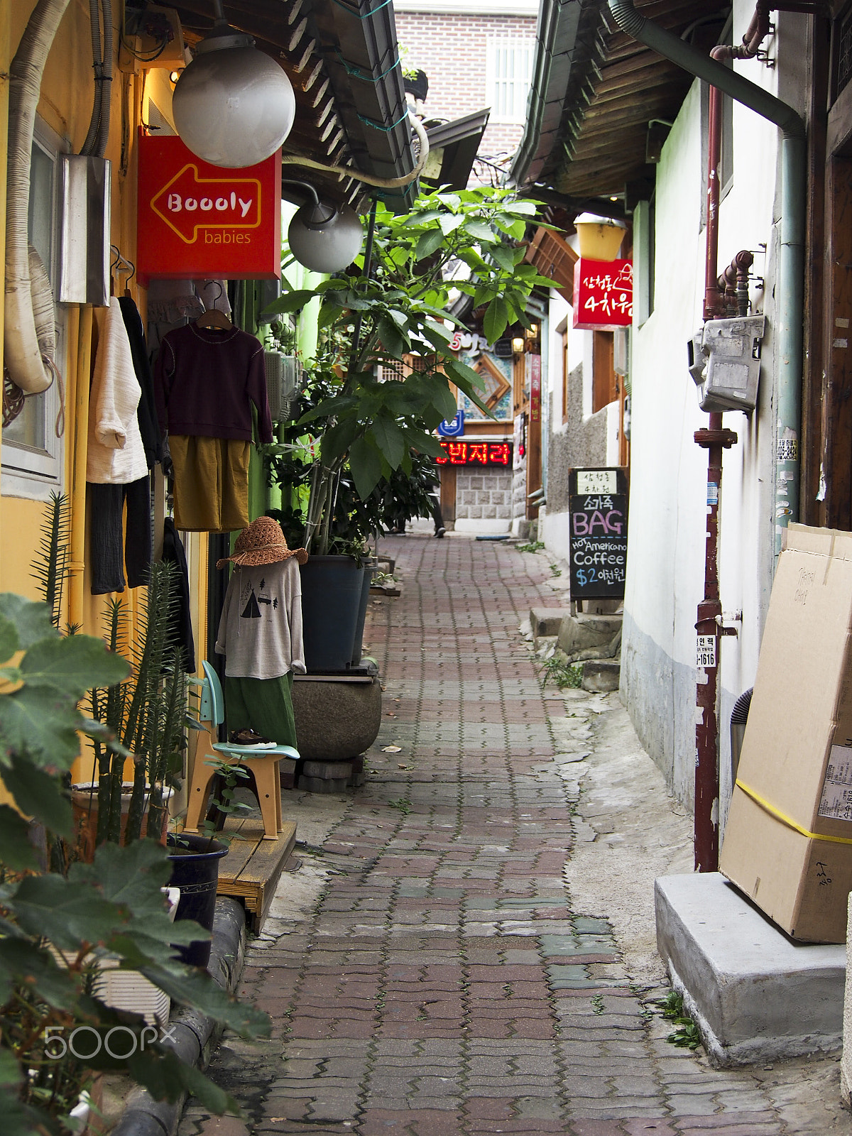 Olympus OM-D E-M5 sample photo. Korean street photography