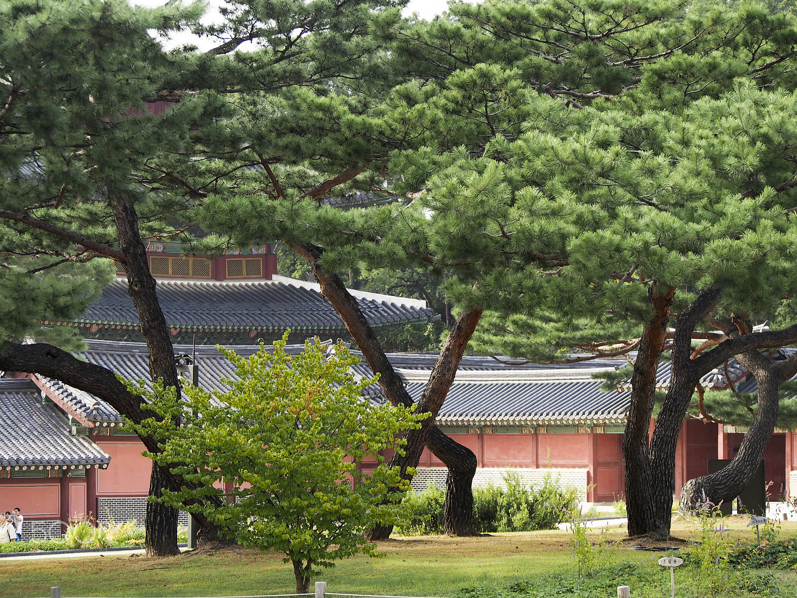 Olympus OM-D E-M5 sample photo. Gyeongbokgung palace photography
