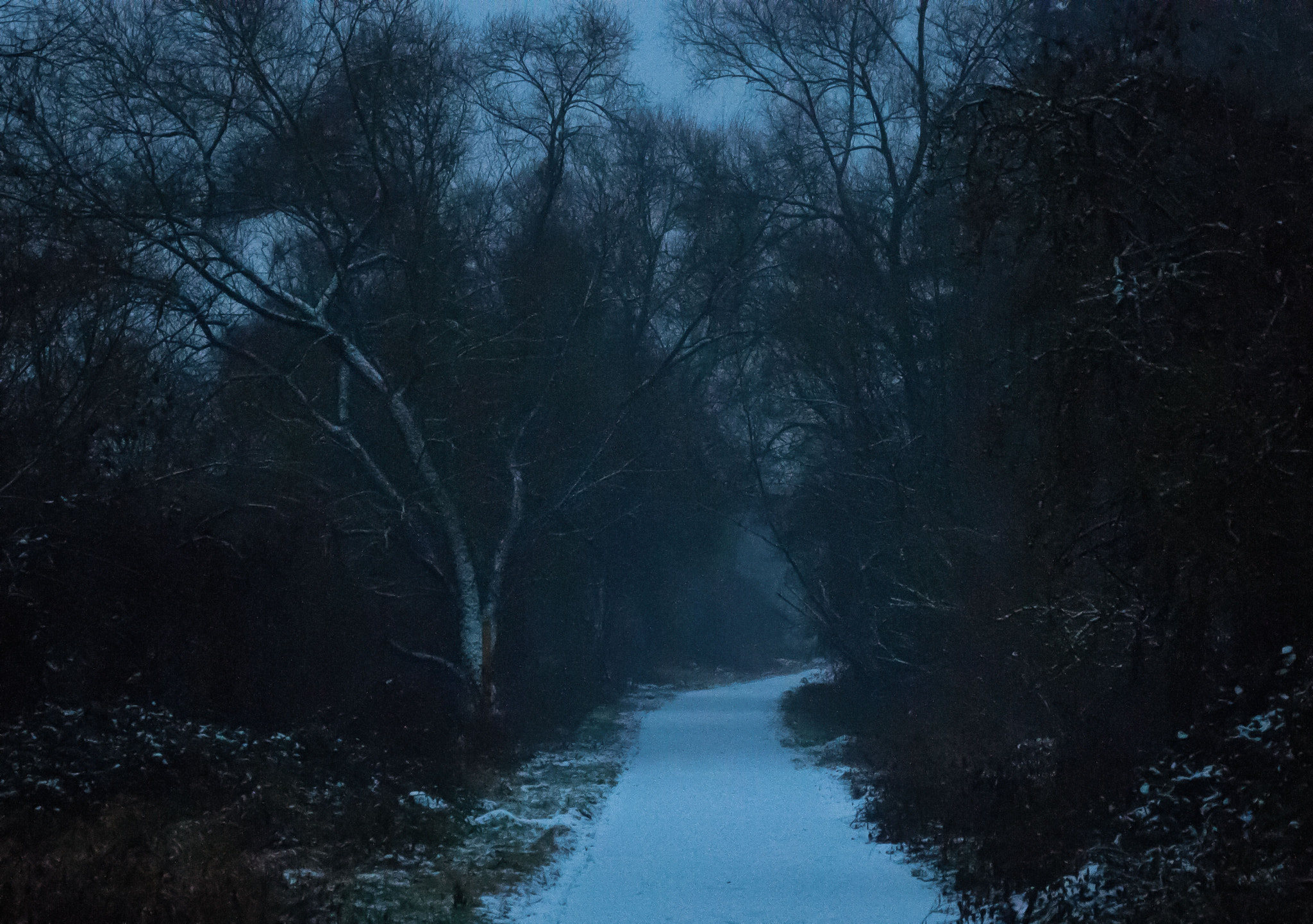 Nikon D300 sample photo. Evening in the winter photography