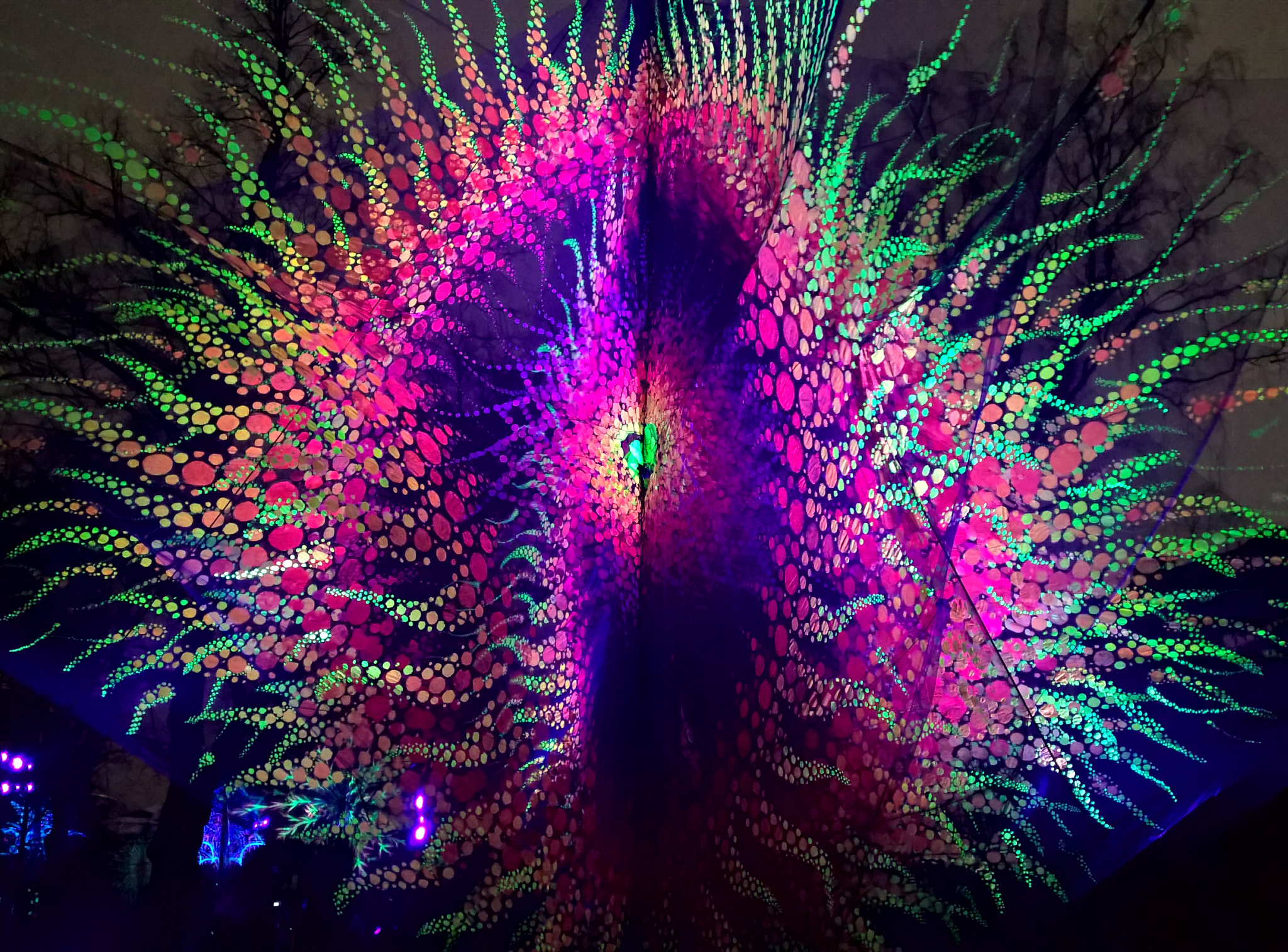 Nokia Lumia 1520 sample photo. Lux helsinki, flowers of life photography