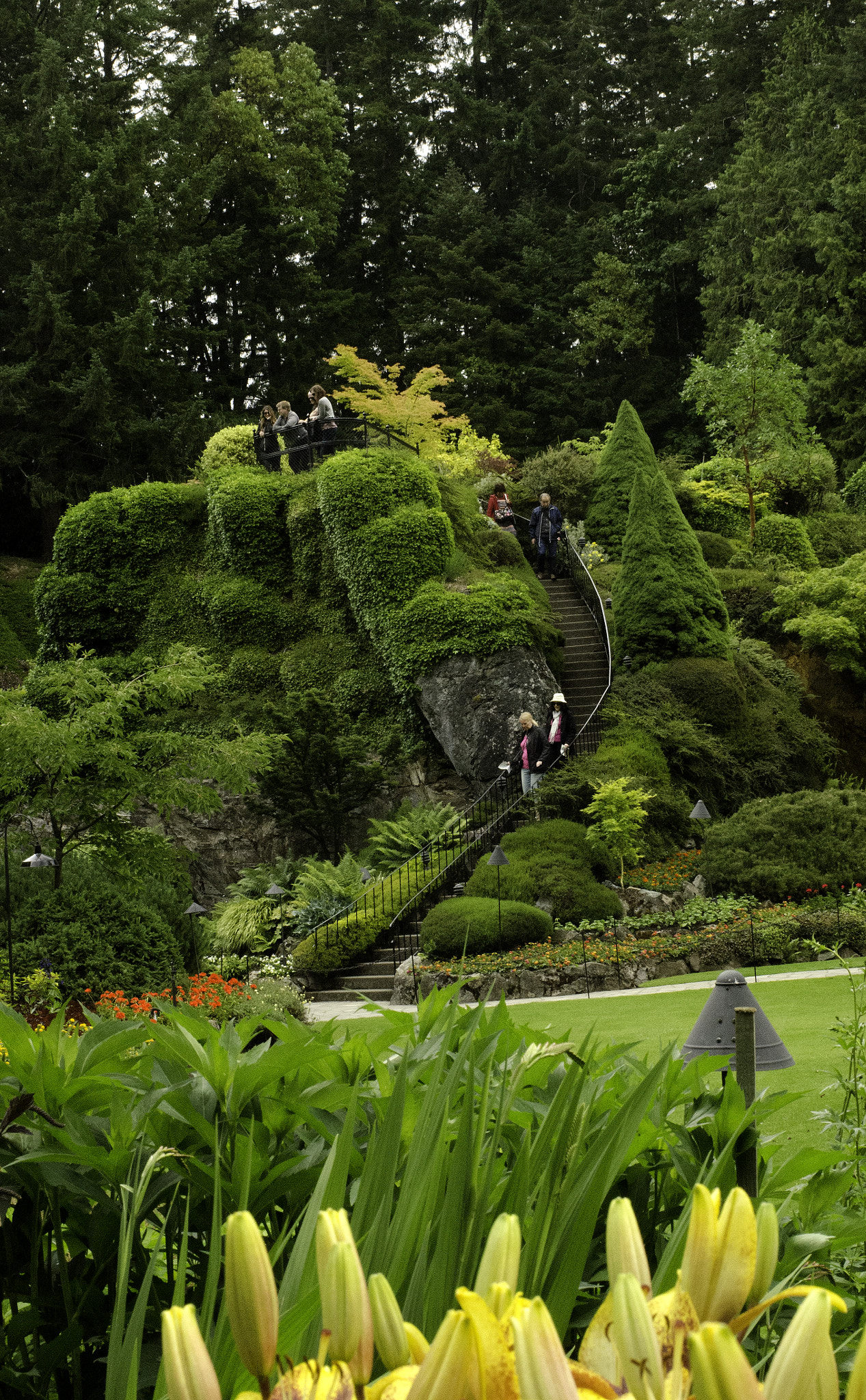 Nikon D7000 + Nikon AF-S Nikkor 35mm F1.4G sample photo. Sunken gardens photography