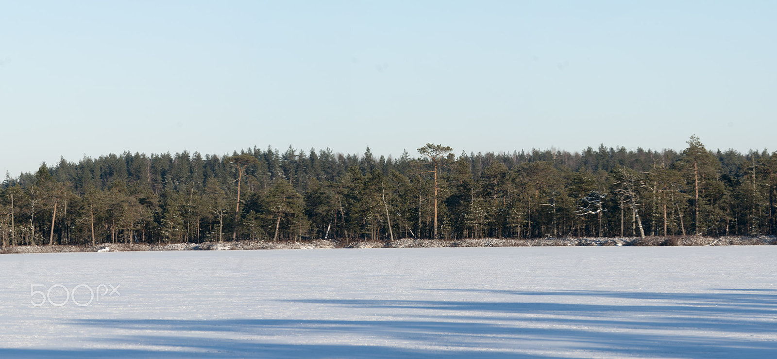 Pentax K20D sample photo. Meenikunno bog photography