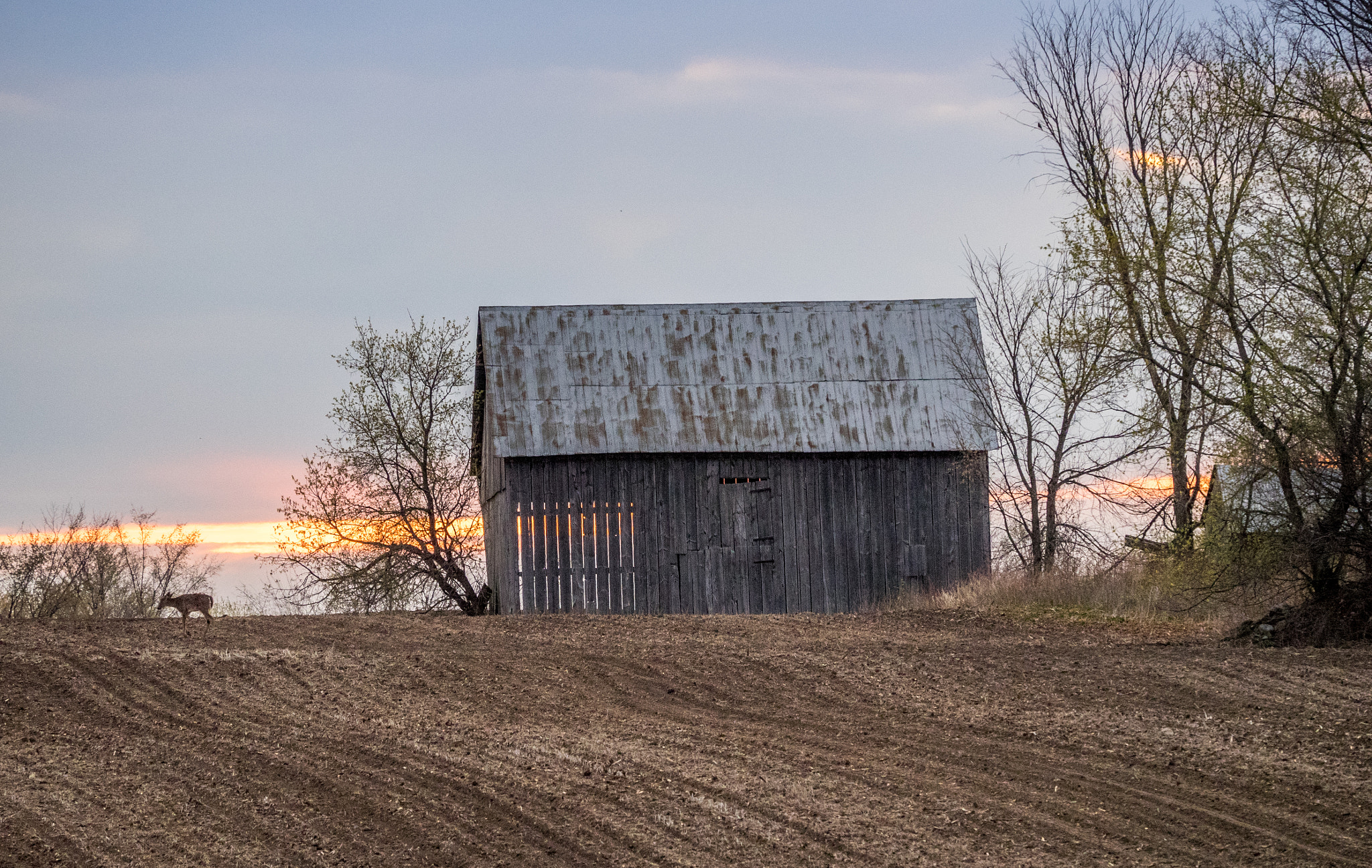 Olympus OM-D E-M1 sample photo. Barn in spring photography