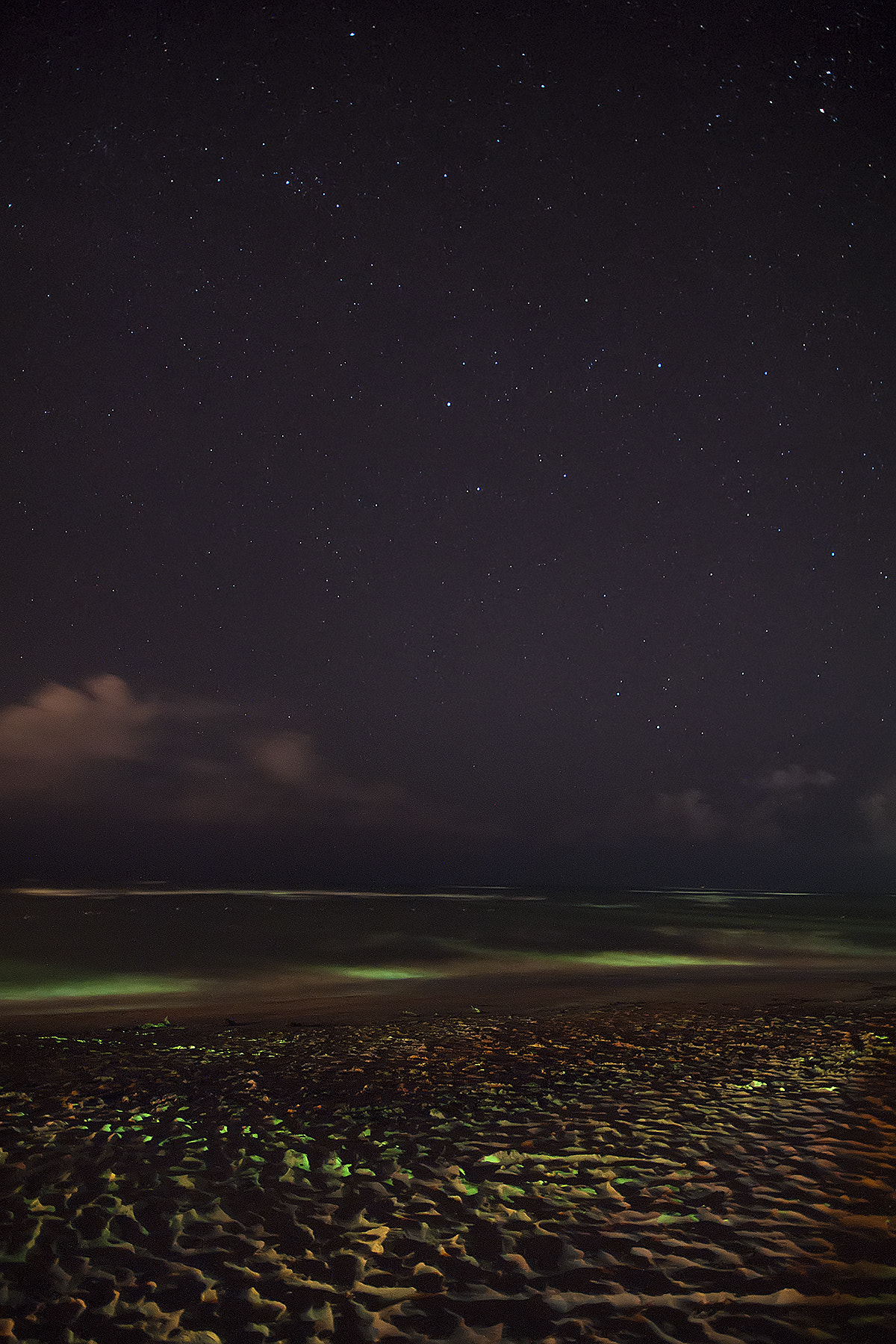 Sigma AF 10-20mm F4-5.6 EX DC sample photo