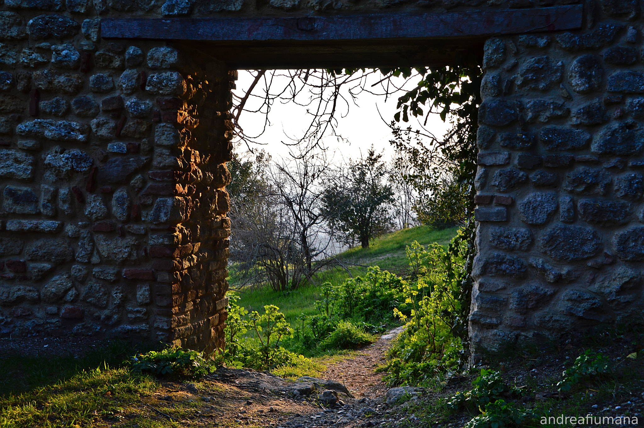 Nikon D3200 sample photo. Cesena photography