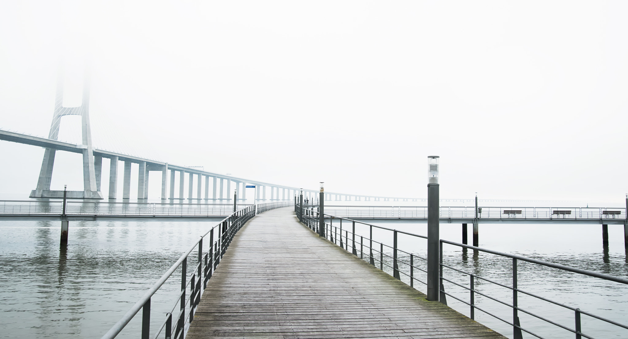 Nikon D810 sample photo. Vasco da gama bridge photography