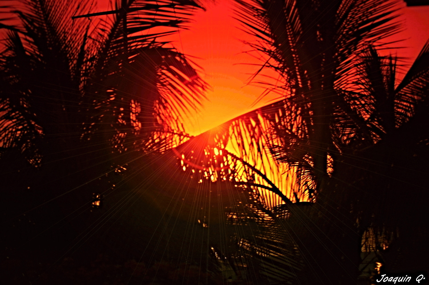Nikon D40 sample photo. Fuego photography
