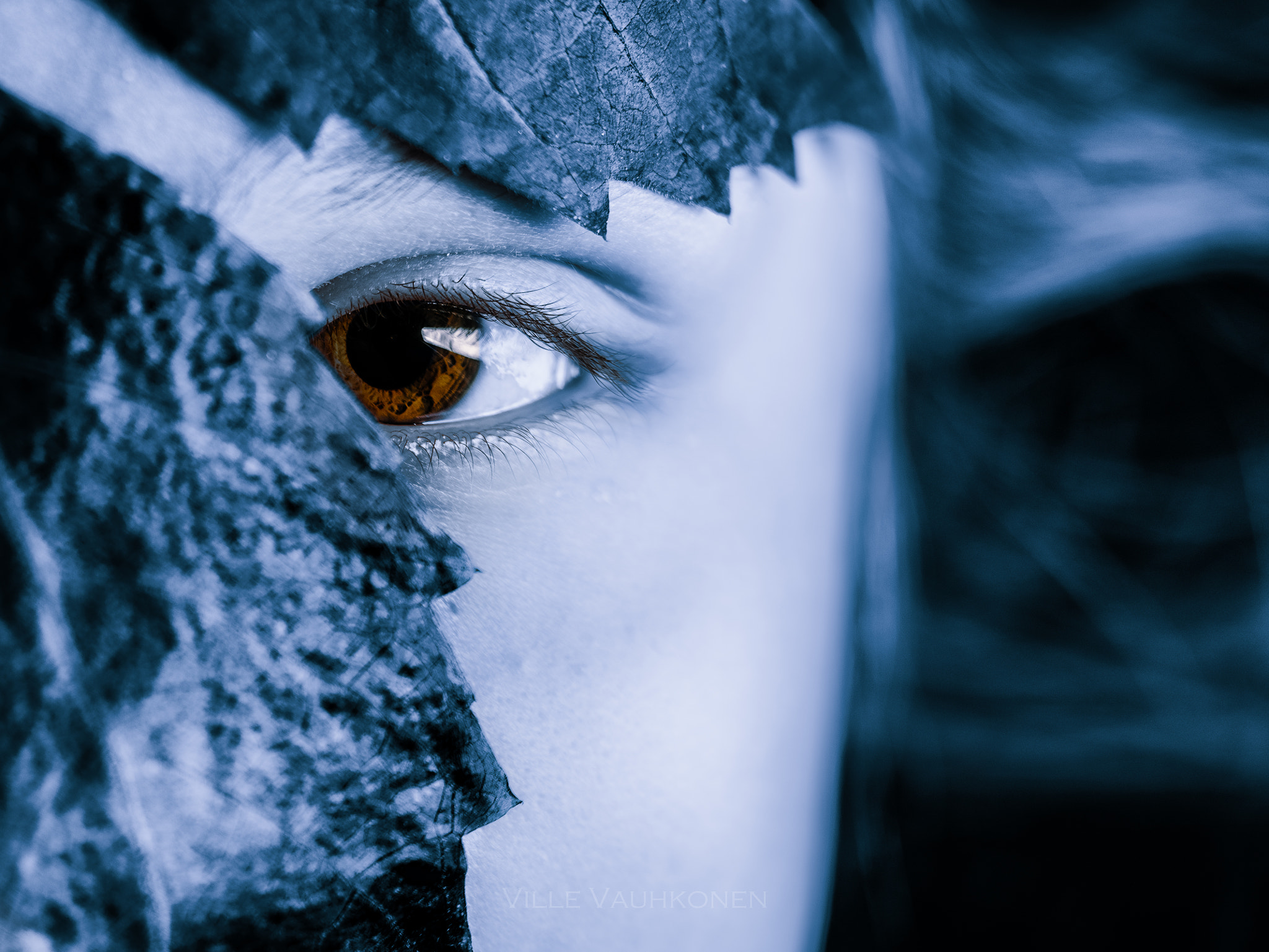 Sigma 150mm F2.8 EX DG Macro HSM sample photo. Behind blues photography