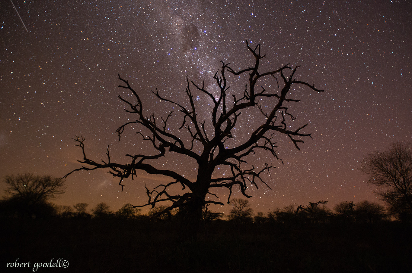 Nikon AF-S Nikkor 17-35mm F2.8D ED-IF sample photo. Night sky photography