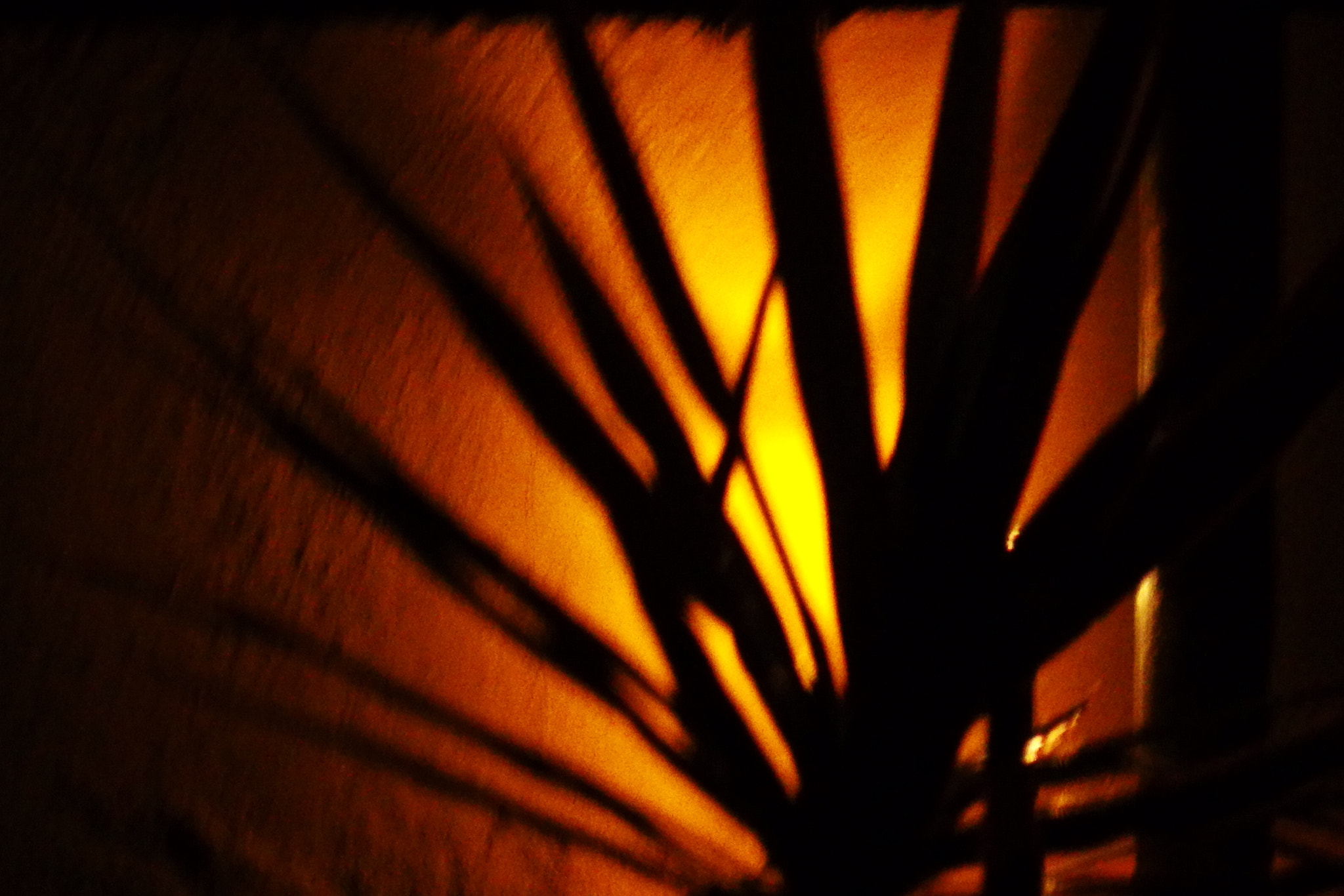 PENTAX RICOH IMAGING PENTAX MX-1 sample photo. Fire behind. torch adventures. photography