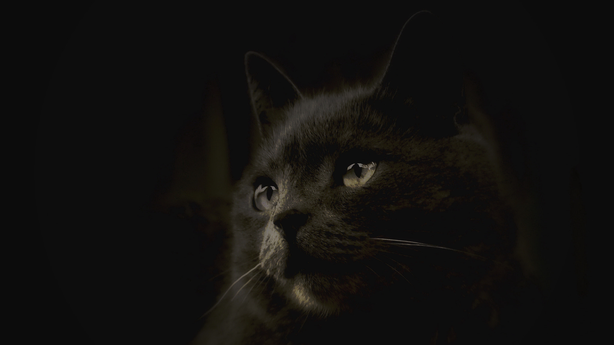 Canon EOS sample photo. Another reason photography