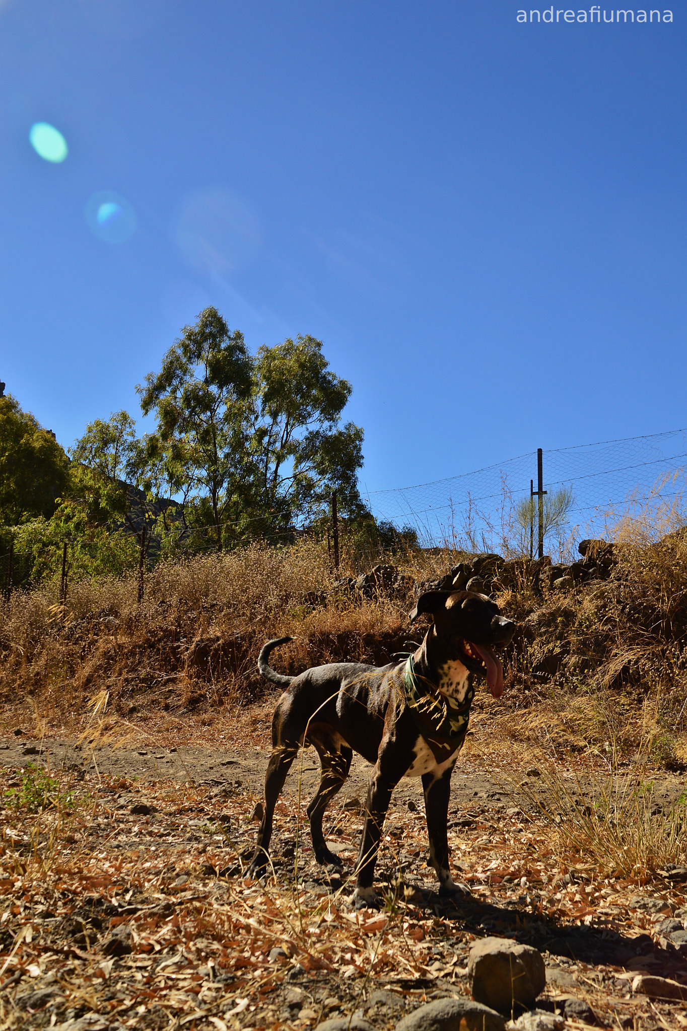 Nikon D3200 sample photo. Thor photography