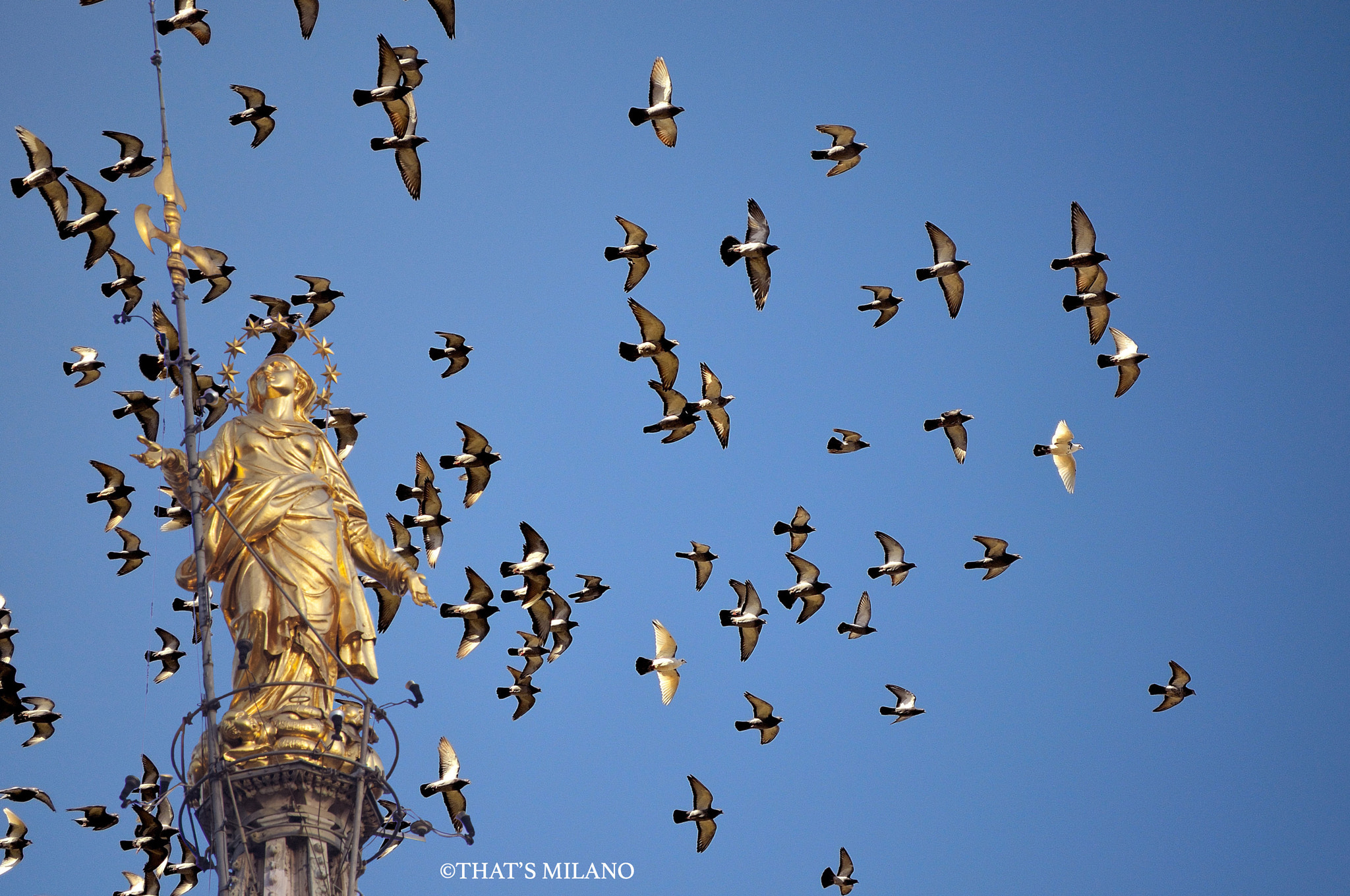 Nikon D2X sample photo. O mia bela madonnina. photography