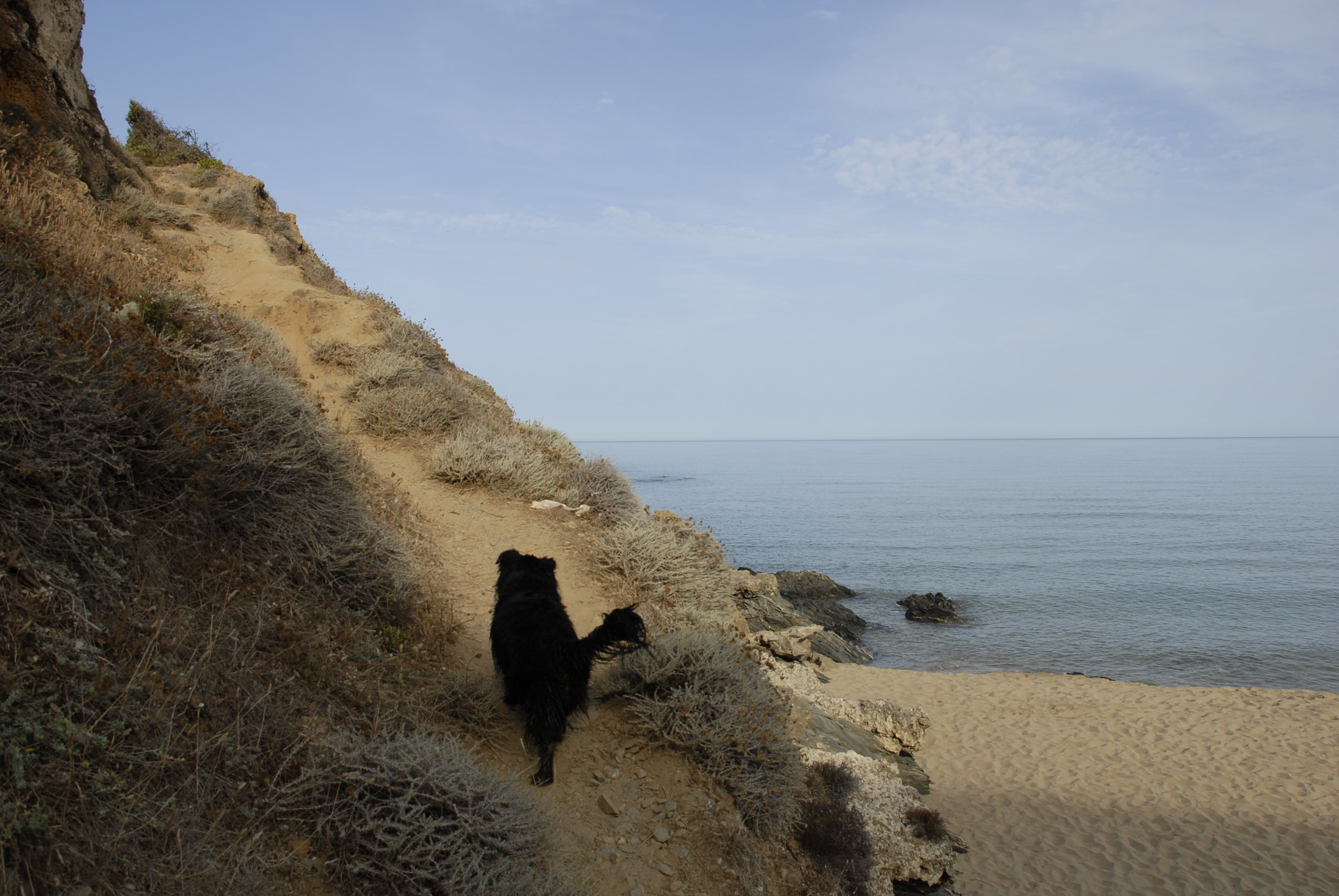 Nikon D200 sample photo. Teach me the right way photography