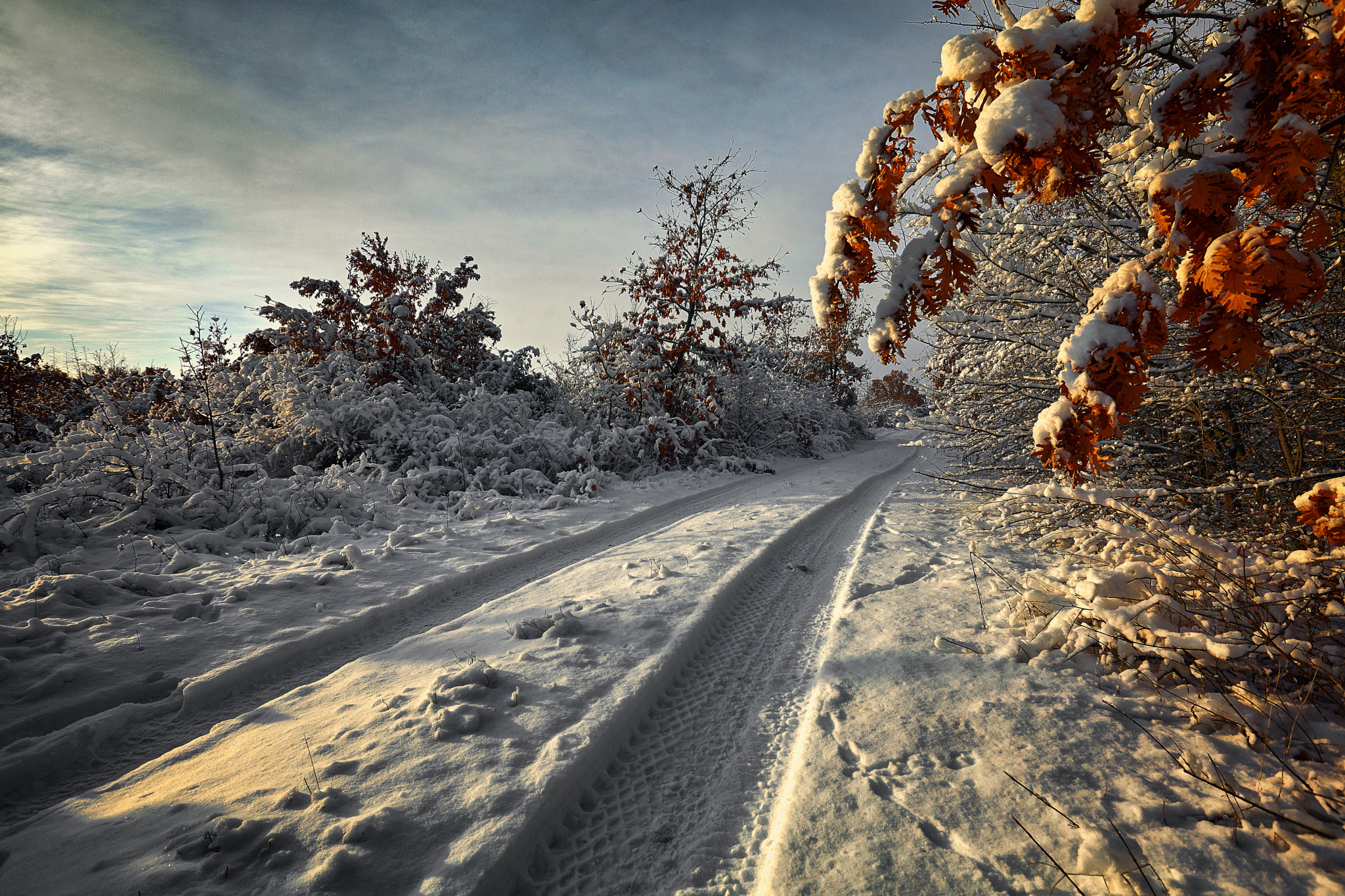 Canon EF 16-35mm F2.8L II USM sample photo. Winter road by sunset photography
