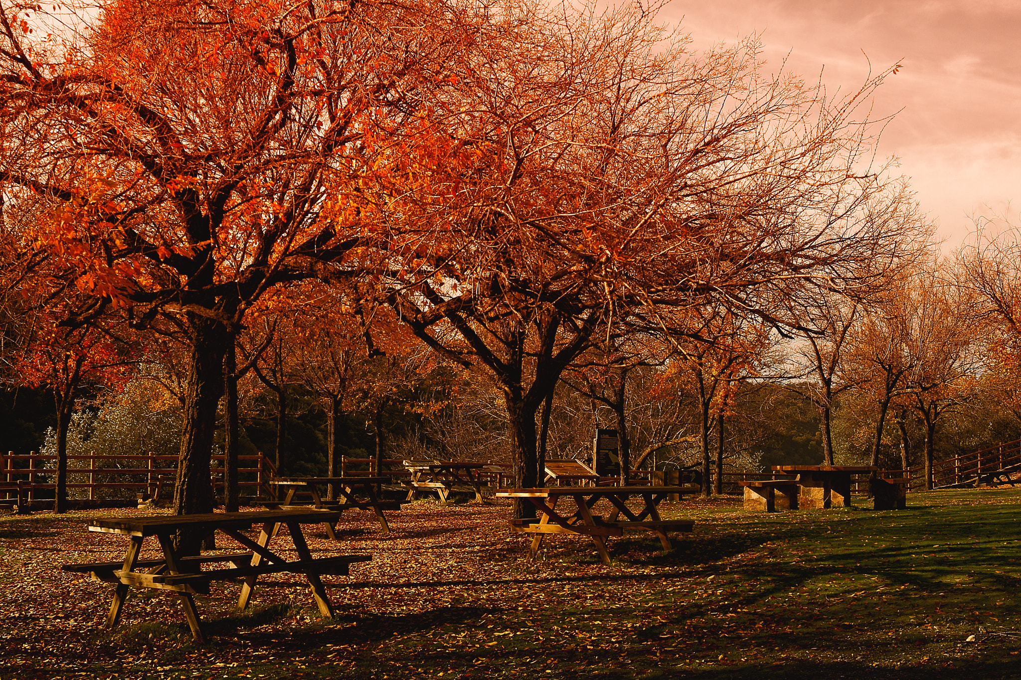 Canon EF 28-105mm f/3.5-4.5 USM sample photo. Otoñada photography