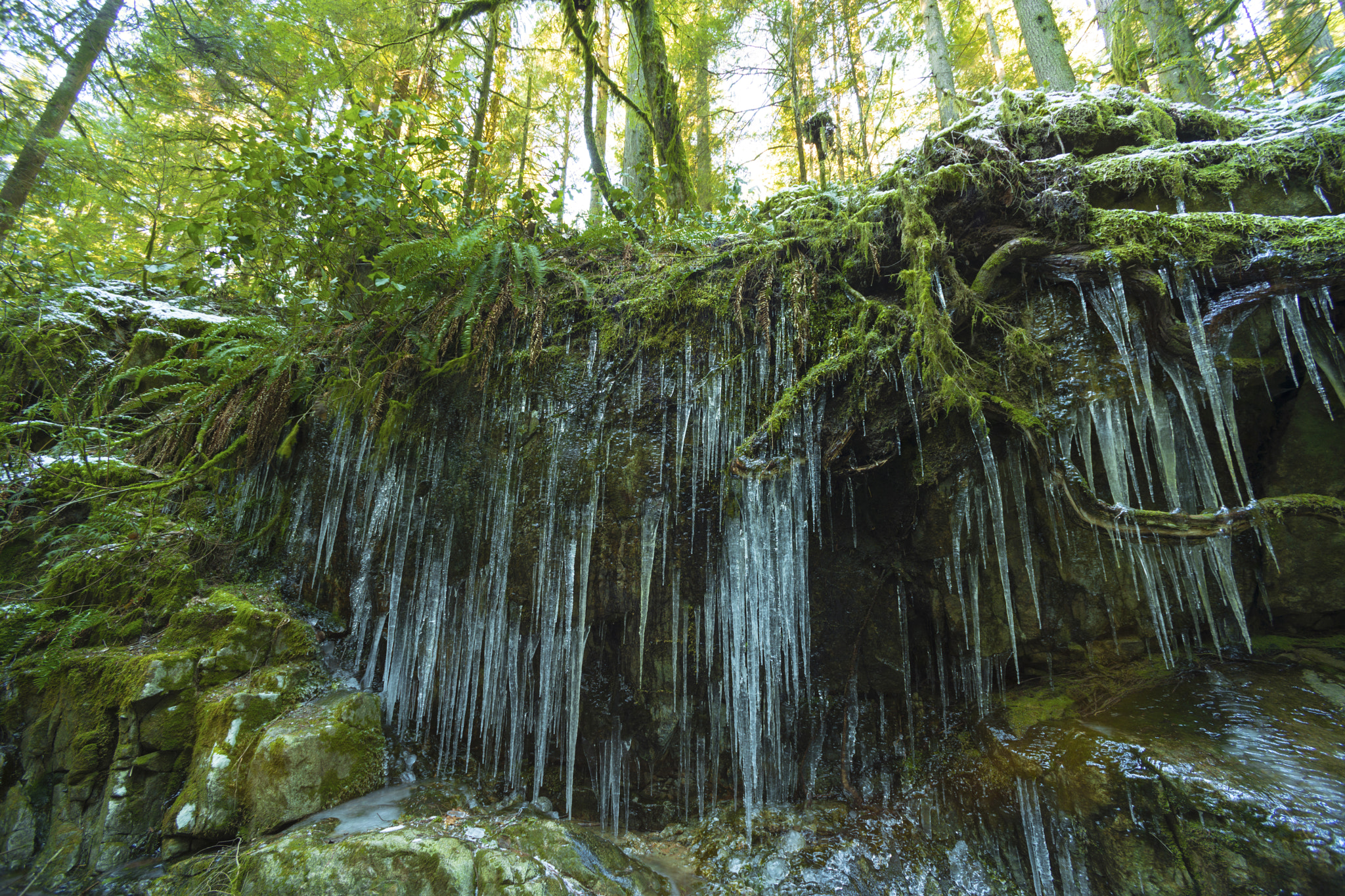 Nikon D800 + Sigma 14mm F3.5 sample photo. Ice green photography