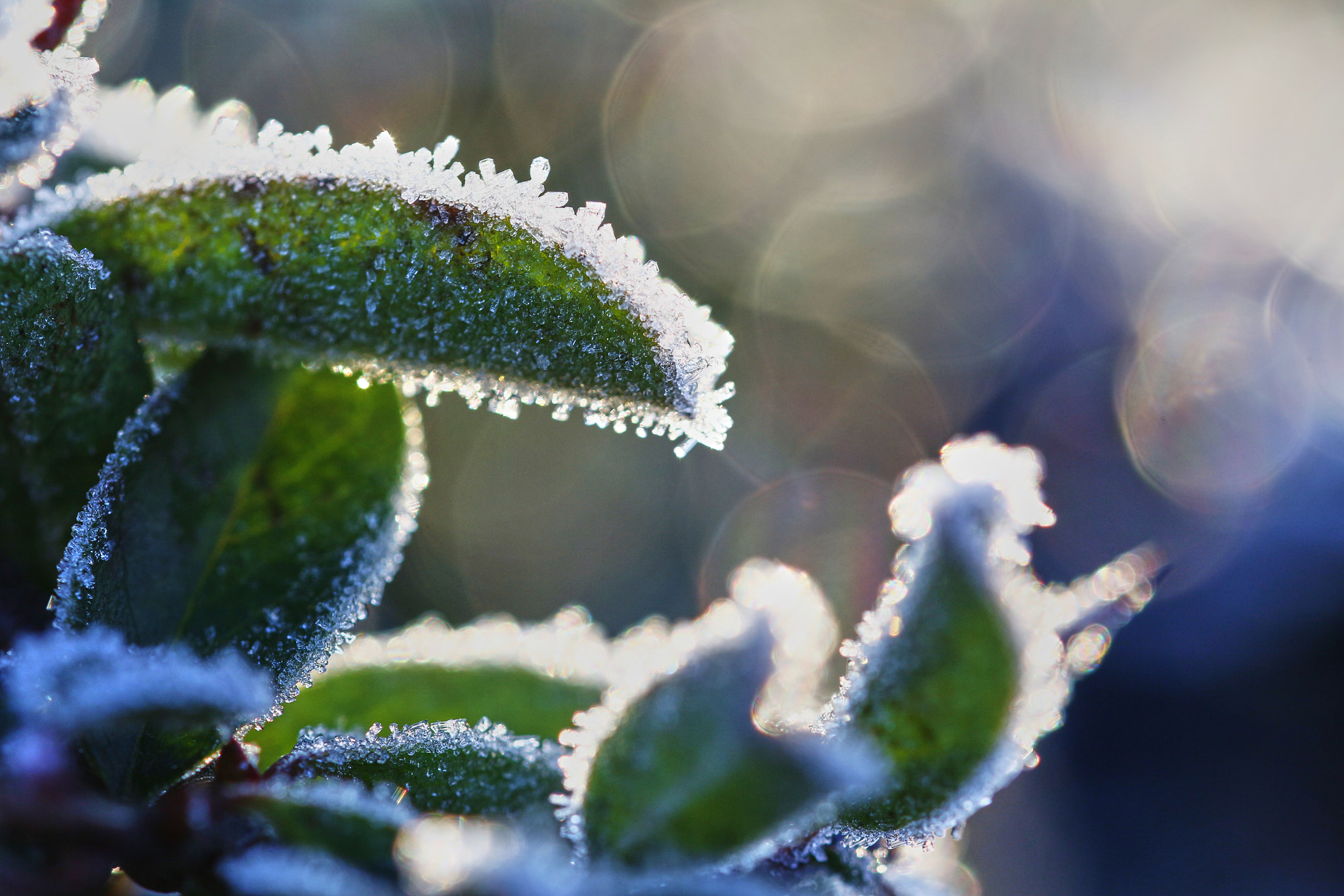 Canon EOS 650D (EOS Rebel T4i / EOS Kiss X6i) sample photo. Icepeakes  photography