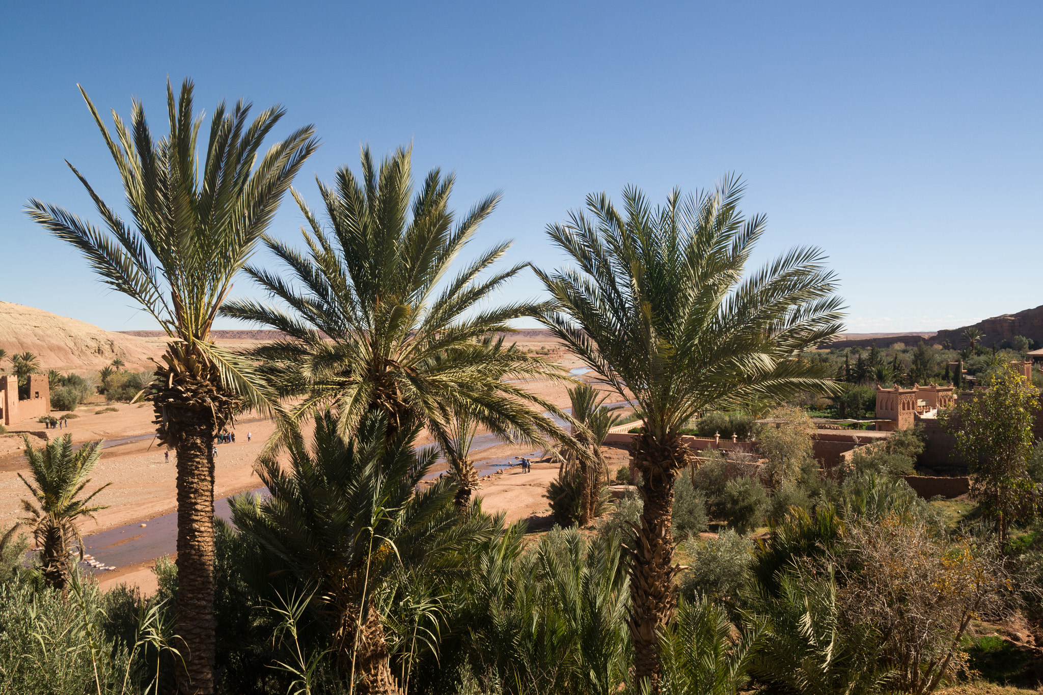 Sigma 17-50mm F2.8 EX DC OS HSM sample photo. Ait ben haddou palms photography