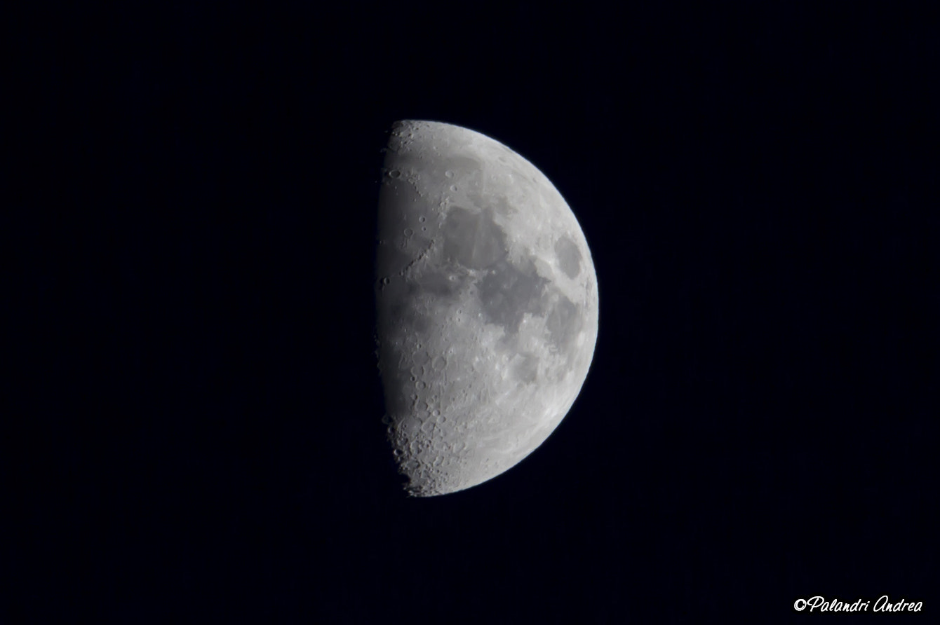 Canon EF-S 55-250mm F4-5.6 IS STM sample photo. Luna photography