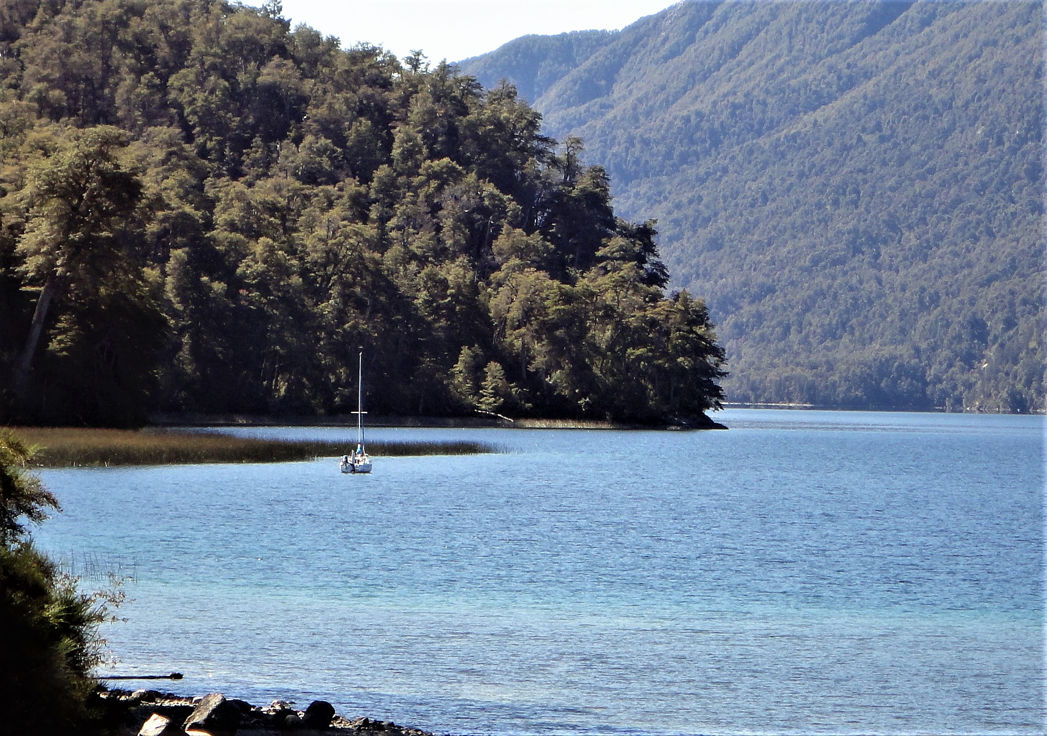 Sony Cyber-shot DSC-W350 sample photo. Lake correntoso,villa la angostura,neuquen,argenti photography