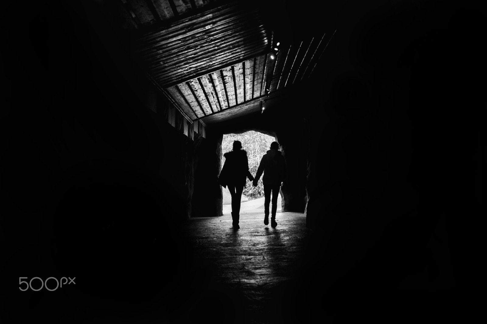 Sony SLT-A65 (SLT-A65V) sample photo. Tunnel of love photography