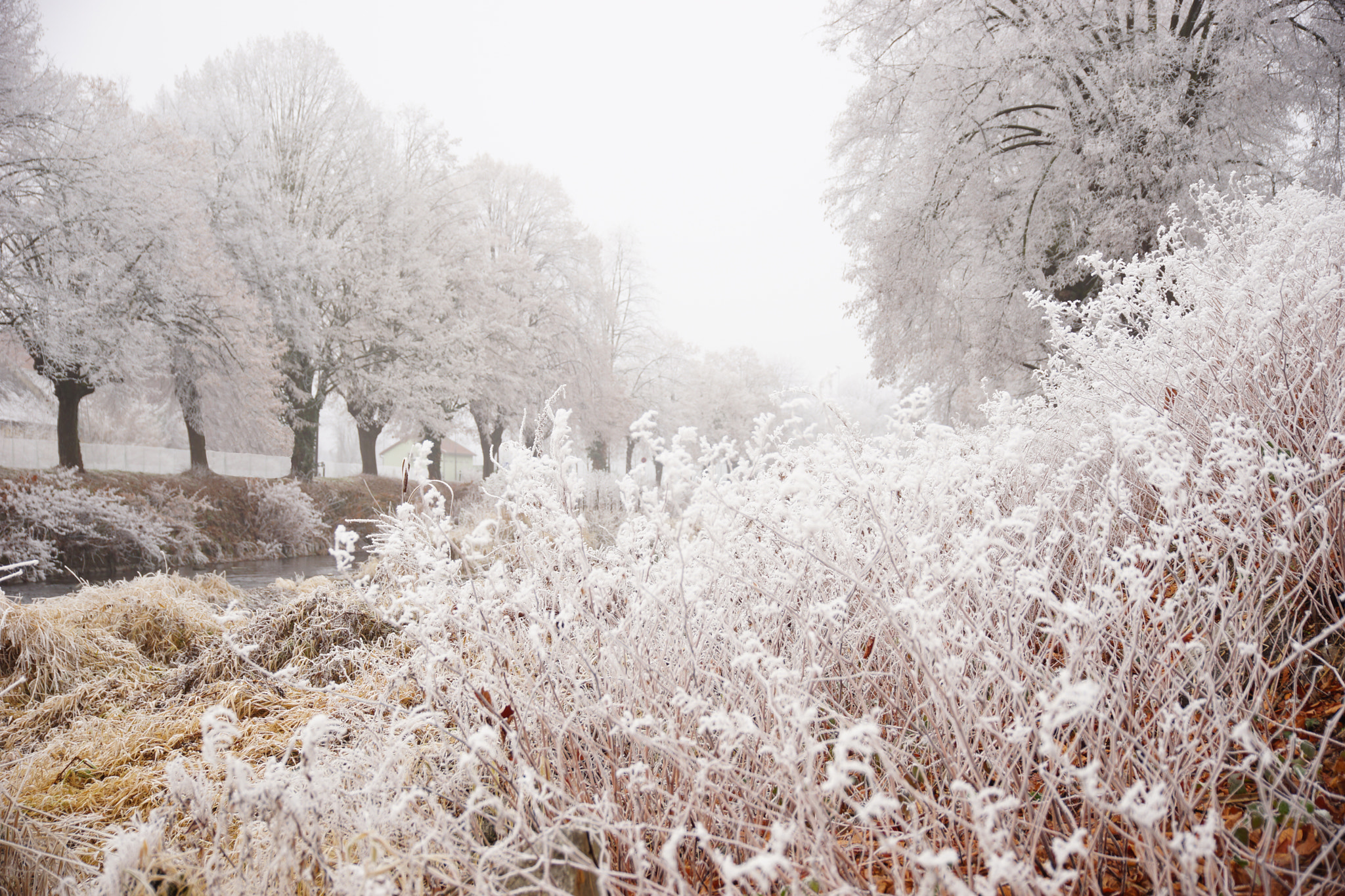 Sony a99 II + 24-105mm F4 sample photo. Winter in turckheim #2 photography