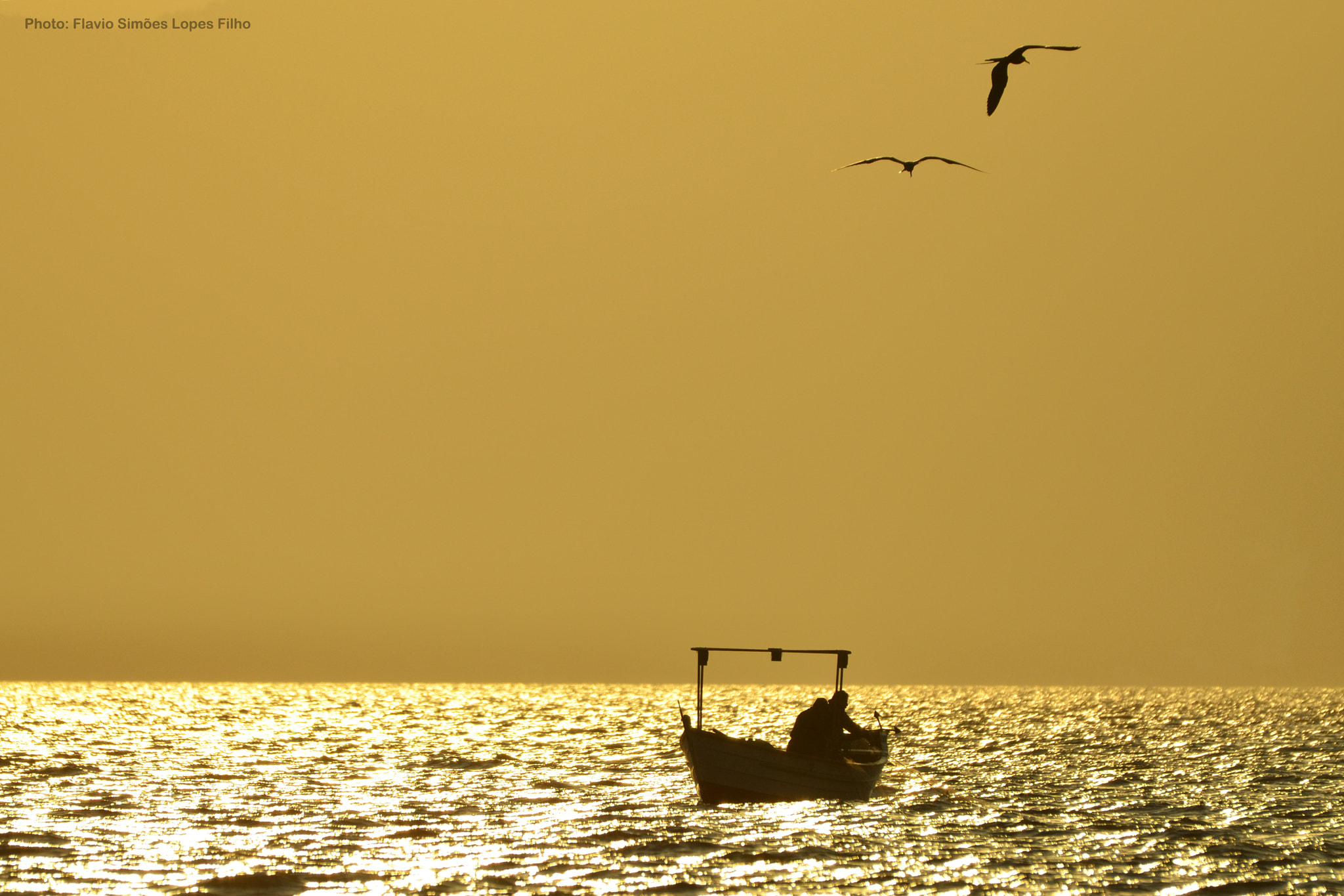 Sigma 120-400mm F4.5-5.6 DG OS HSM sample photo. How about fishing 02 photography