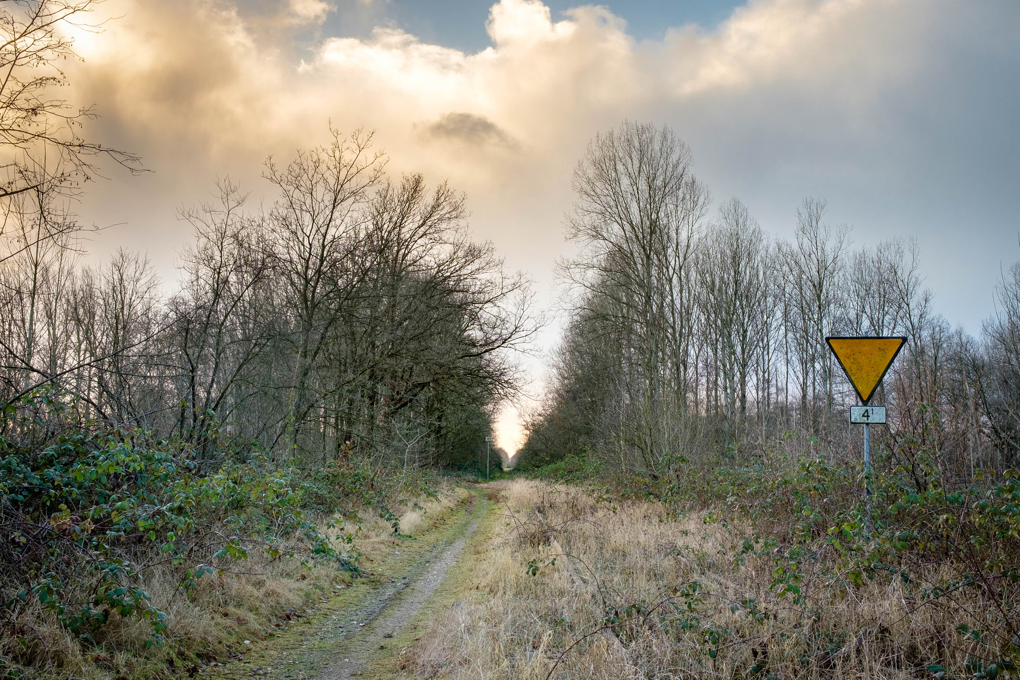 Fujifilm X-T10 + Fujifilm XF 23mm F1.4 R sample photo. Old train tracks - the sign photography