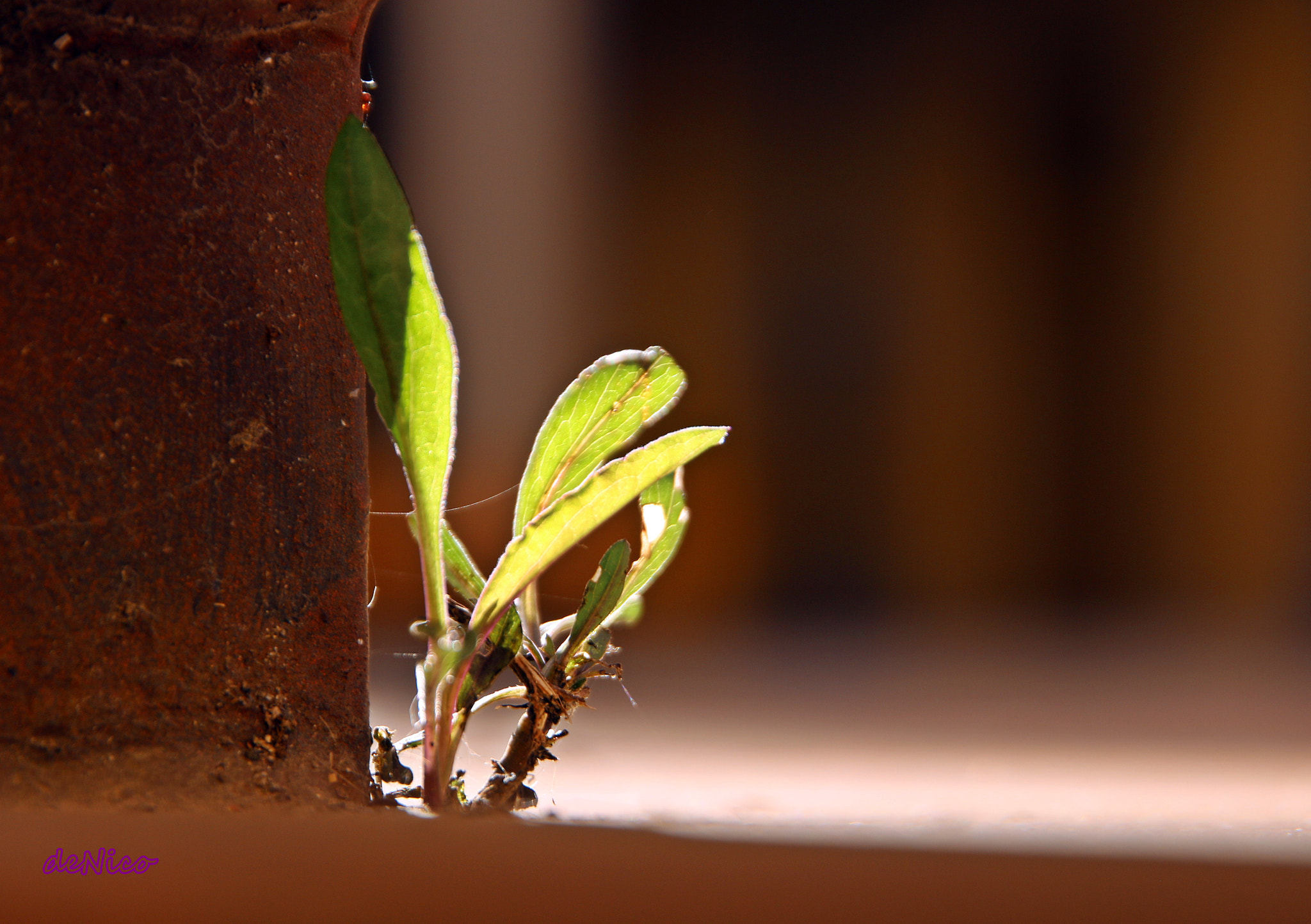 Sigma 24-105mm f/4 DG OS HSM | A sample photo. Img photography