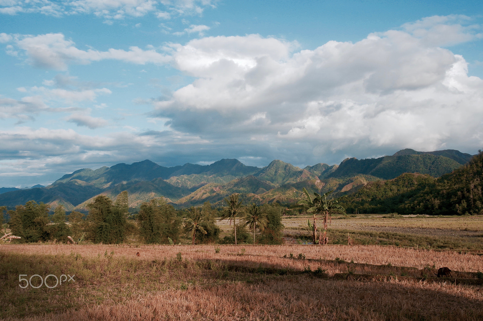 Samsung NX100 sample photo. Landscape. photography