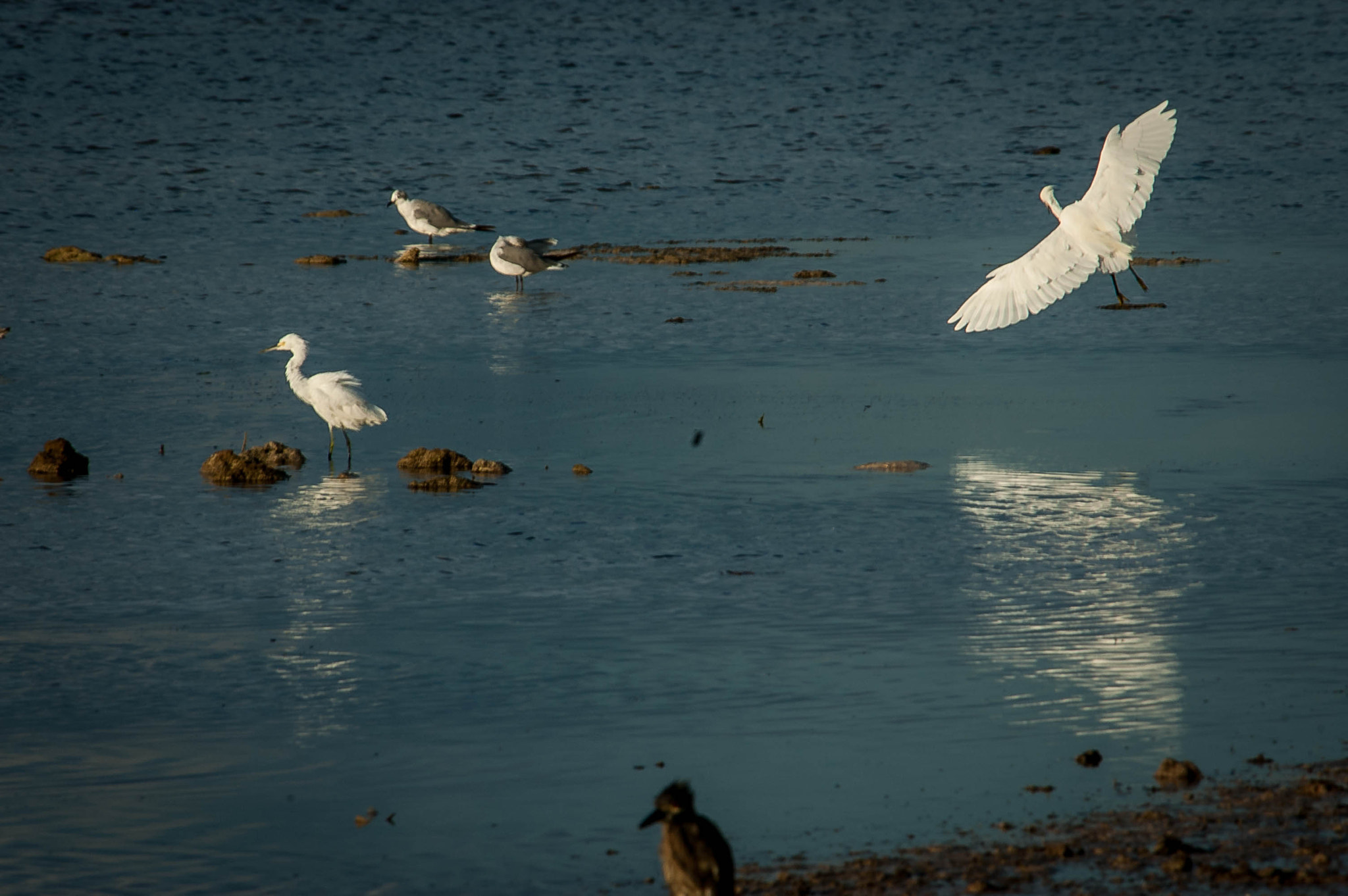 Nikon D70 sample photo. Long key state park, florida photography