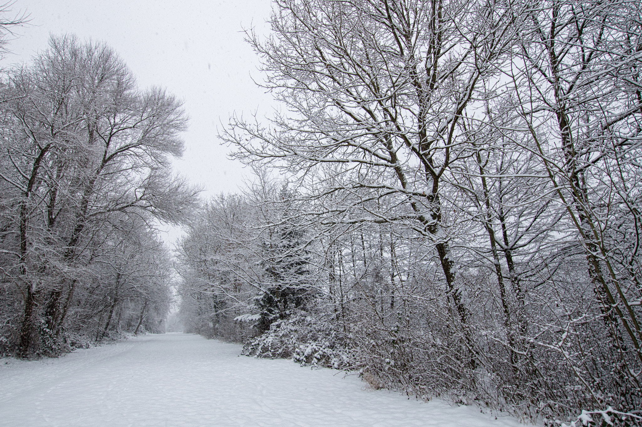 Nikon D3200 + Sigma 10-20mm F3.5 EX DC HSM sample photo. Aarau - switzerland photography