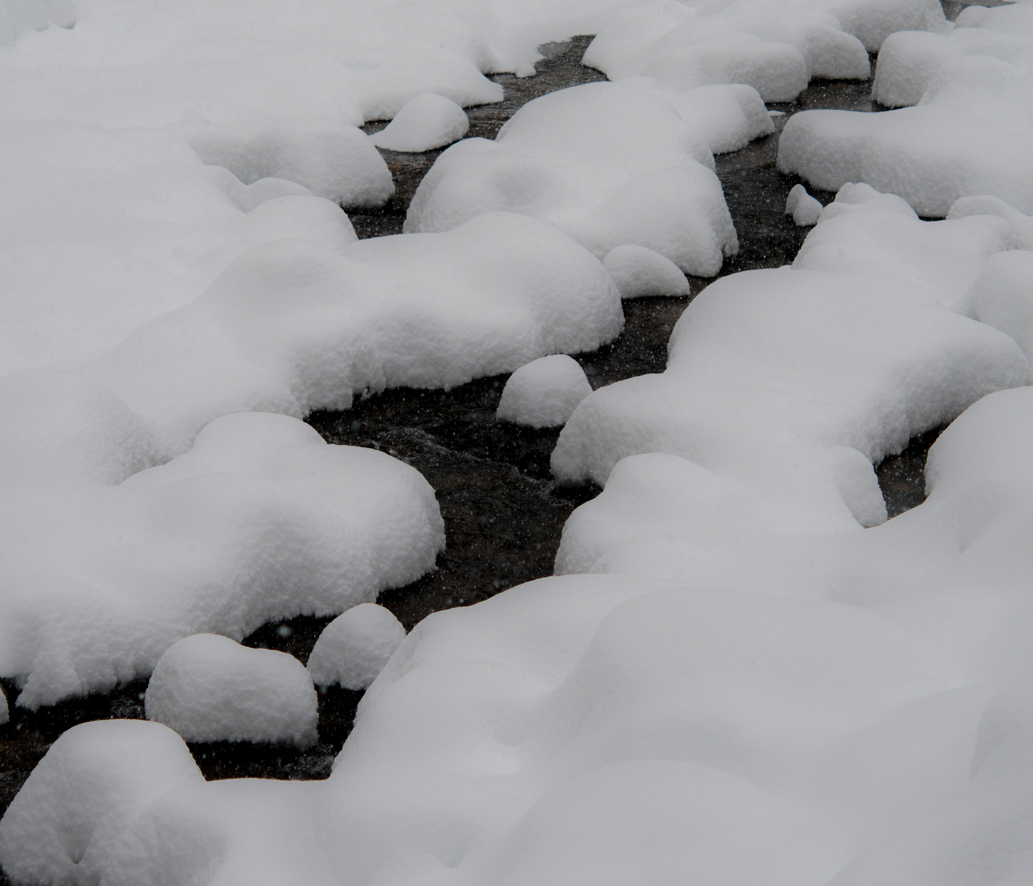 Nikon AF-S Micro-Nikkor 60mm F2.8G ED sample photo. Black stream photography