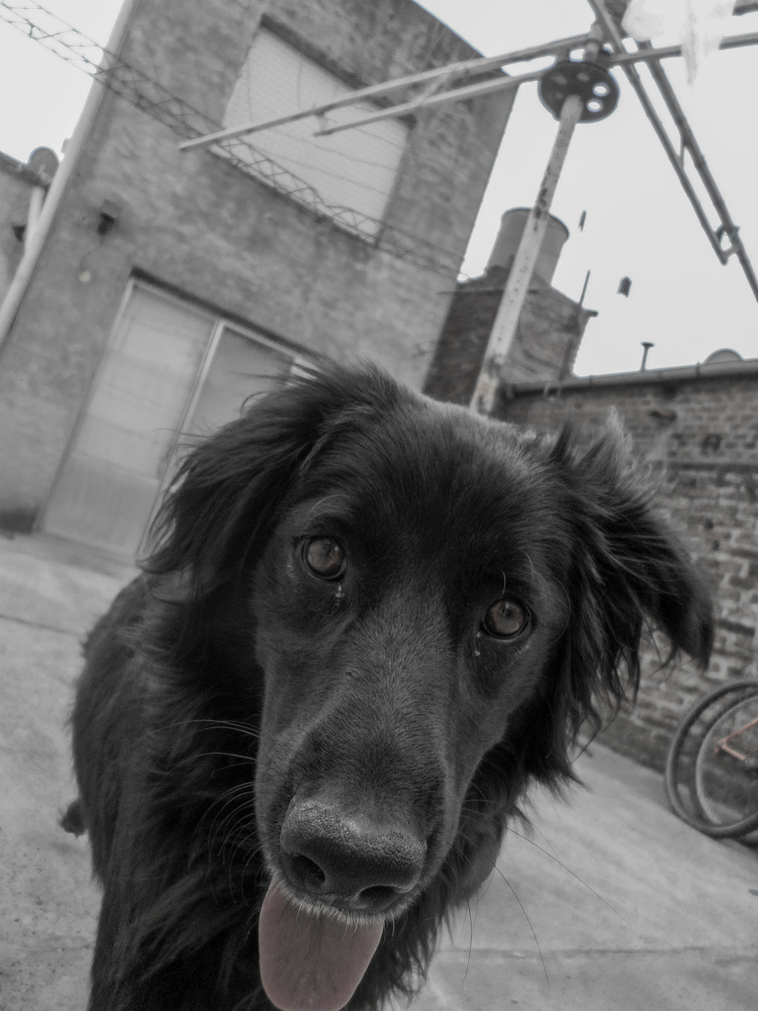 Samsung ST72/ST73 sample photo. Que pasa humano? photography