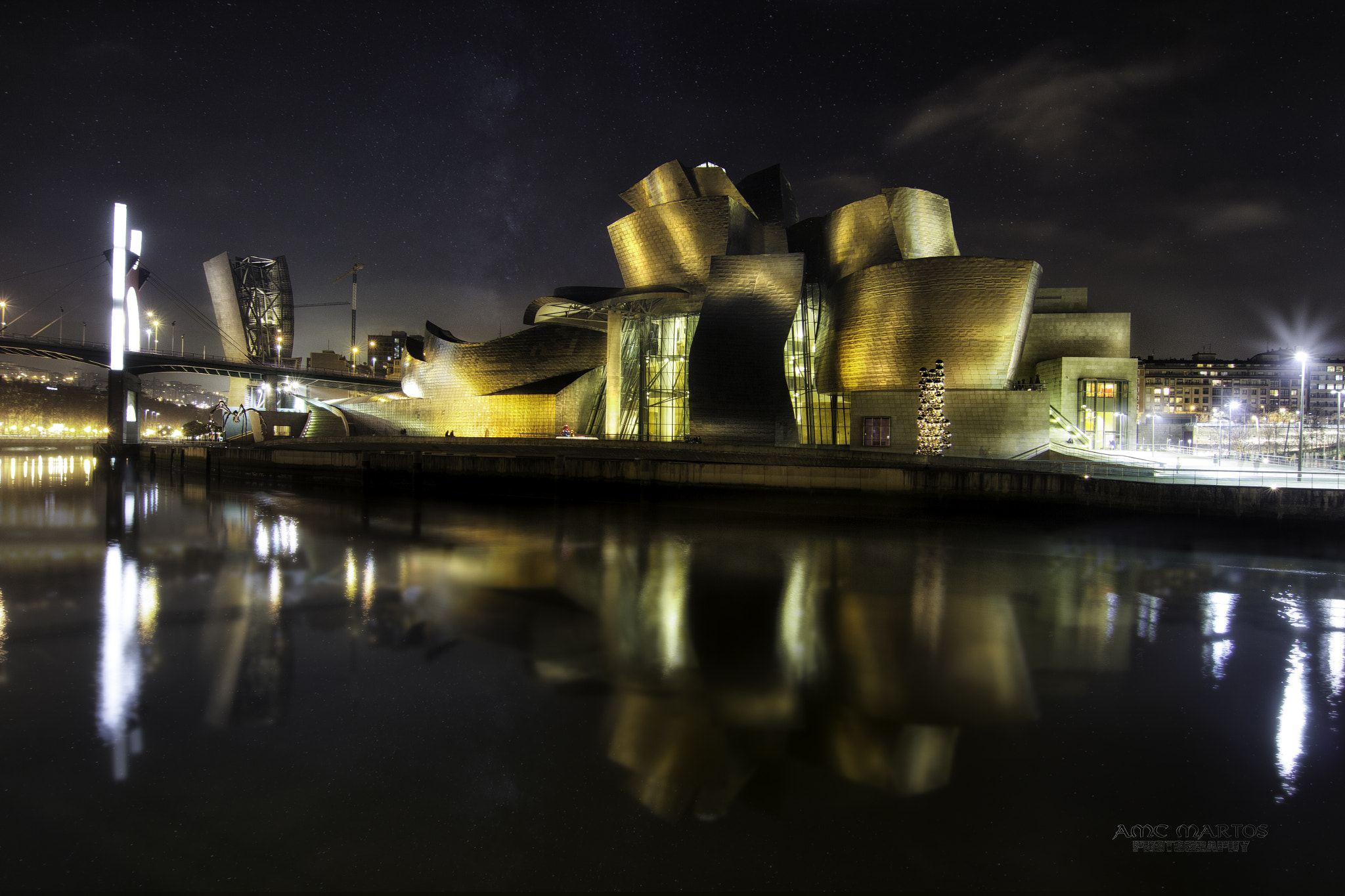 Tokina AT-X Pro 12-24mm F4 (IF) DX sample photo. El museo guggenheim bilbao photography