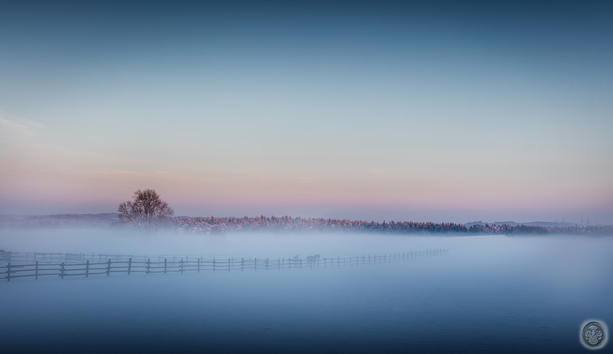 Canon EOS 5DS + Canon EF 50mm F1.2L USM sample photo. ...horses in the fog... photography